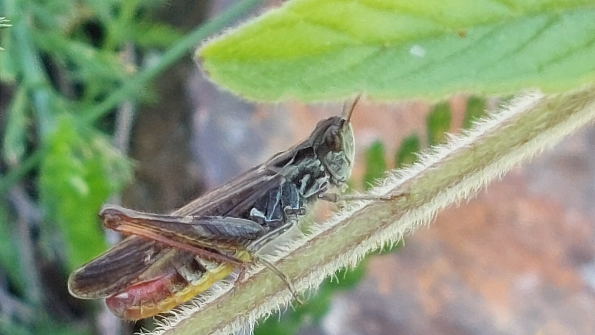 Valokuvaaja: Tarja Naukkarinen