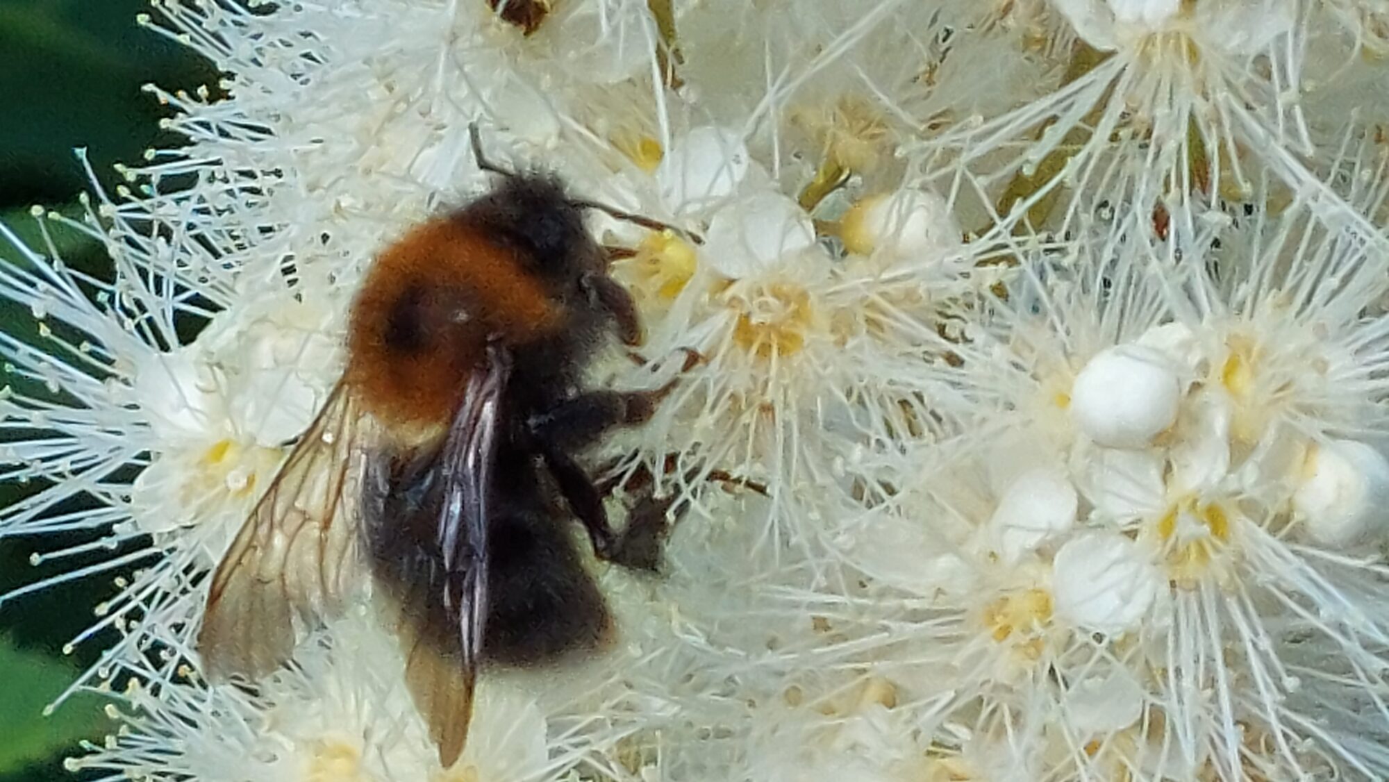 Valokuvaaja: Tarja Naukkarinen