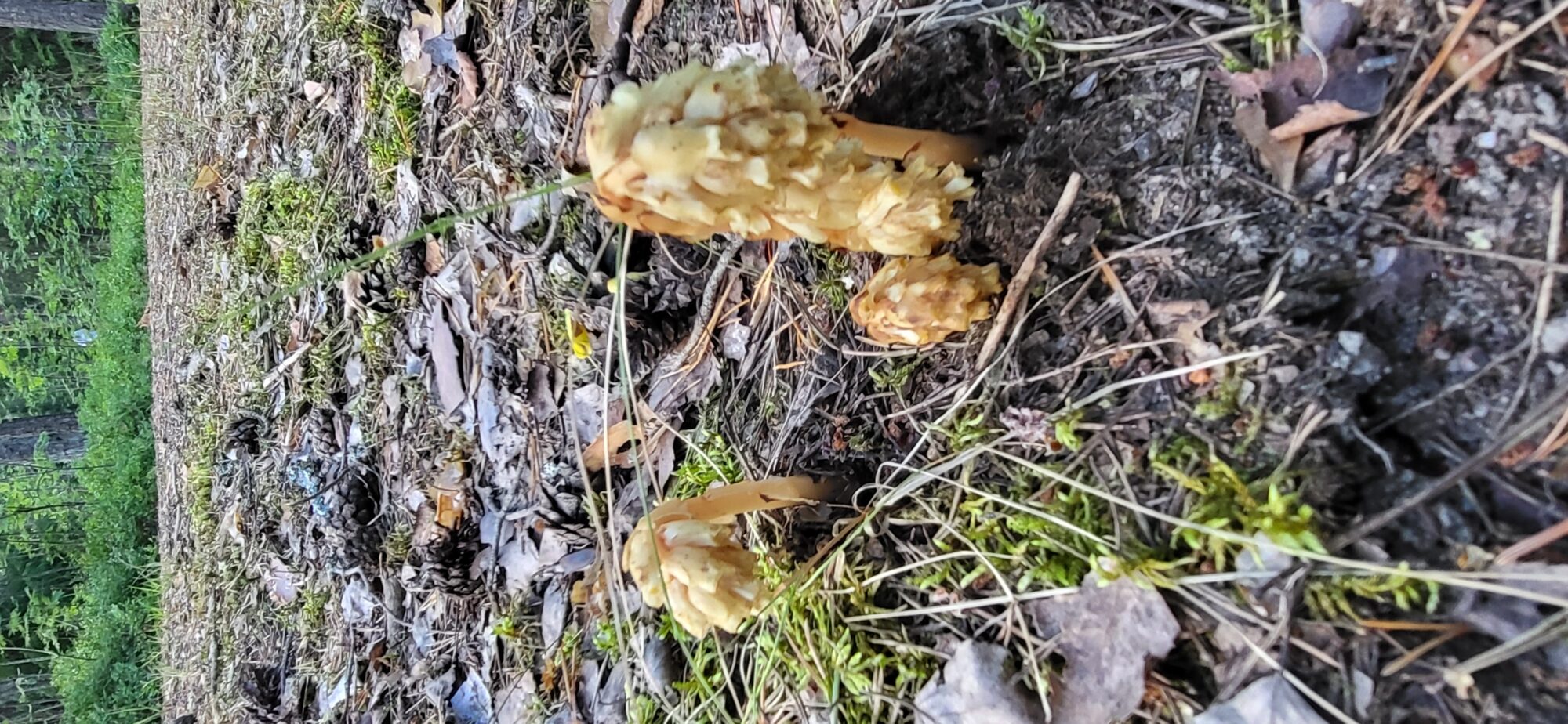 Valokuvaaja: Birgitta Suorsa