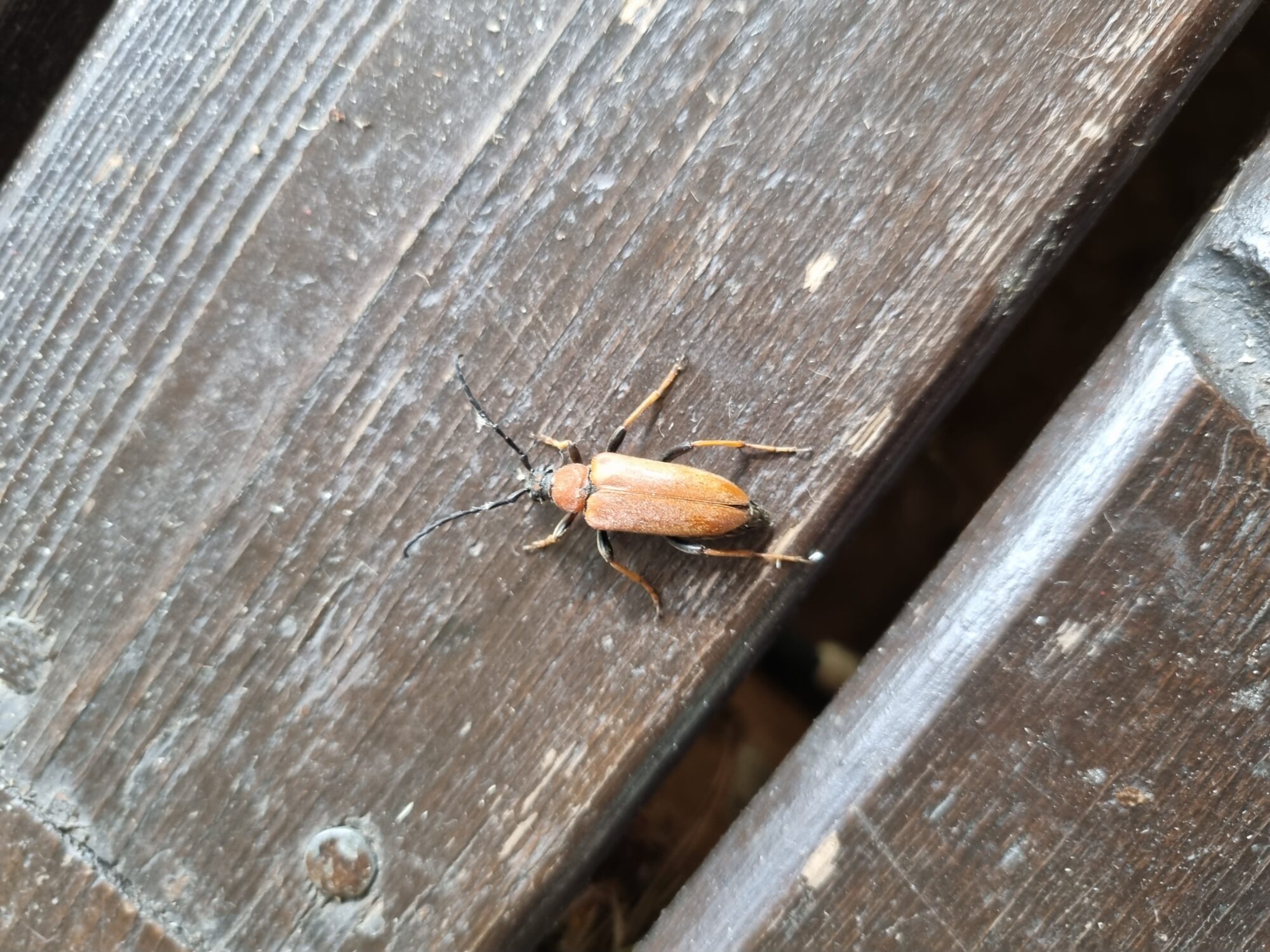 Valokuvaaja: Minna Haapaniemi