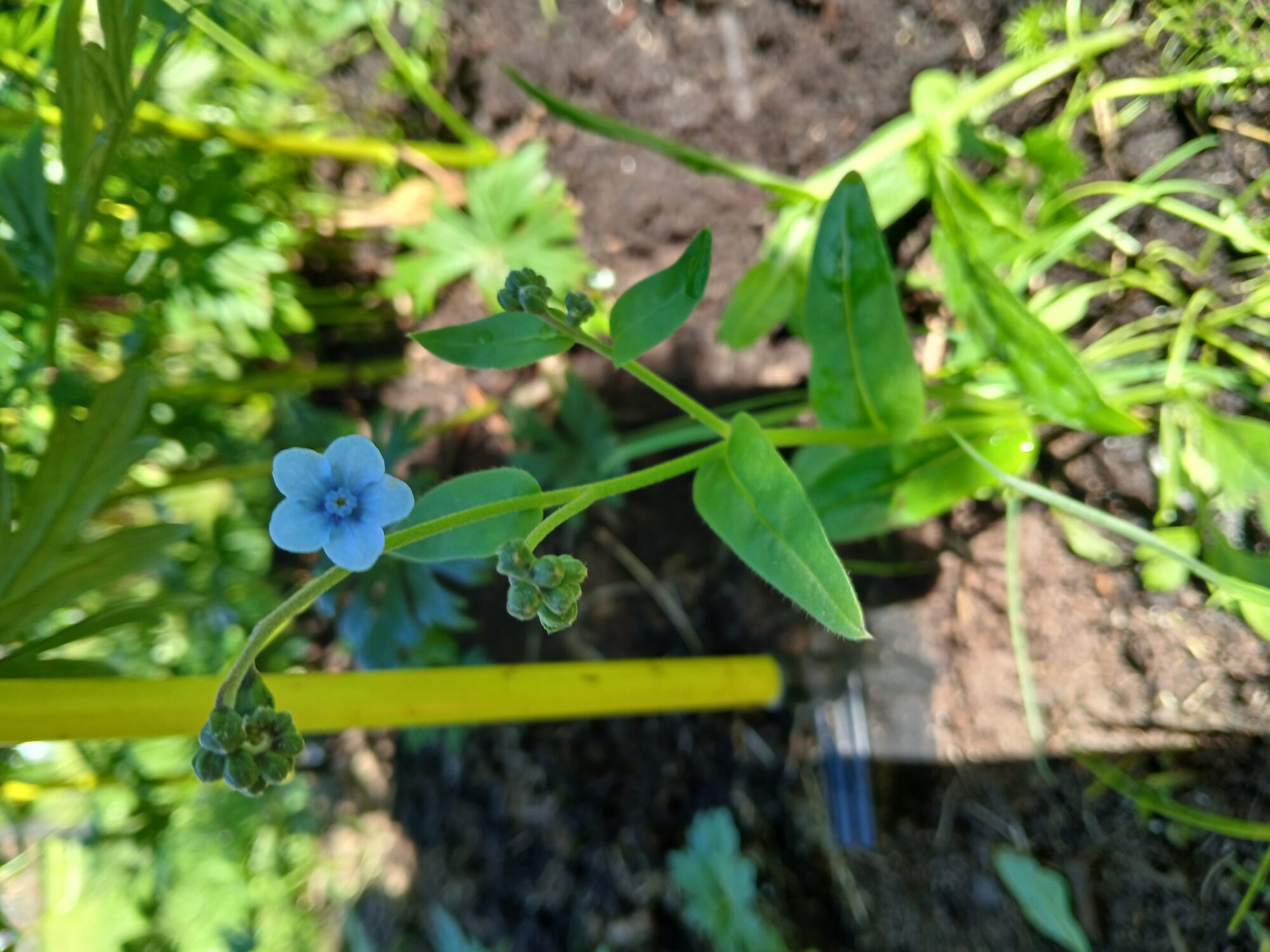 Valokuvaaja: Auli Feldt