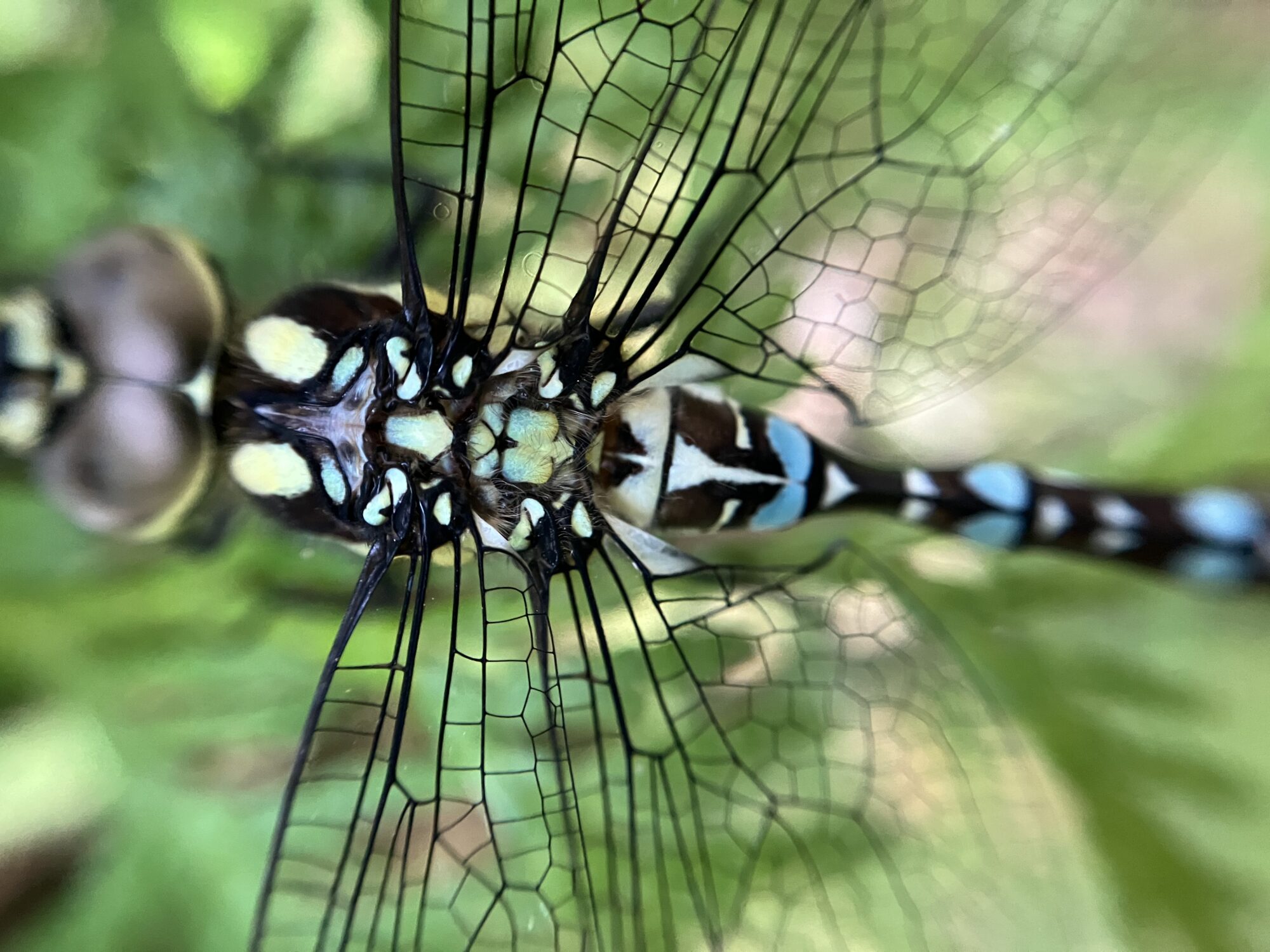 Valokuvaaja: Kati Kleimola