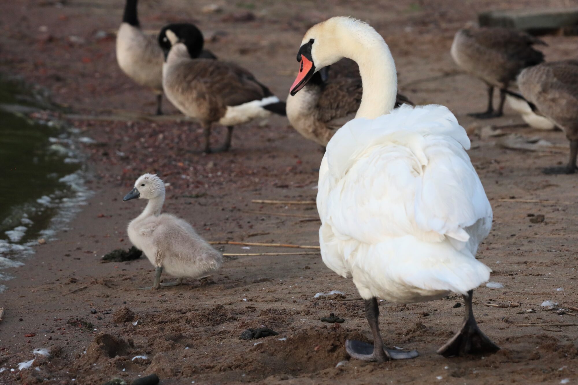 Valokuvaaja: Armi Järvinen