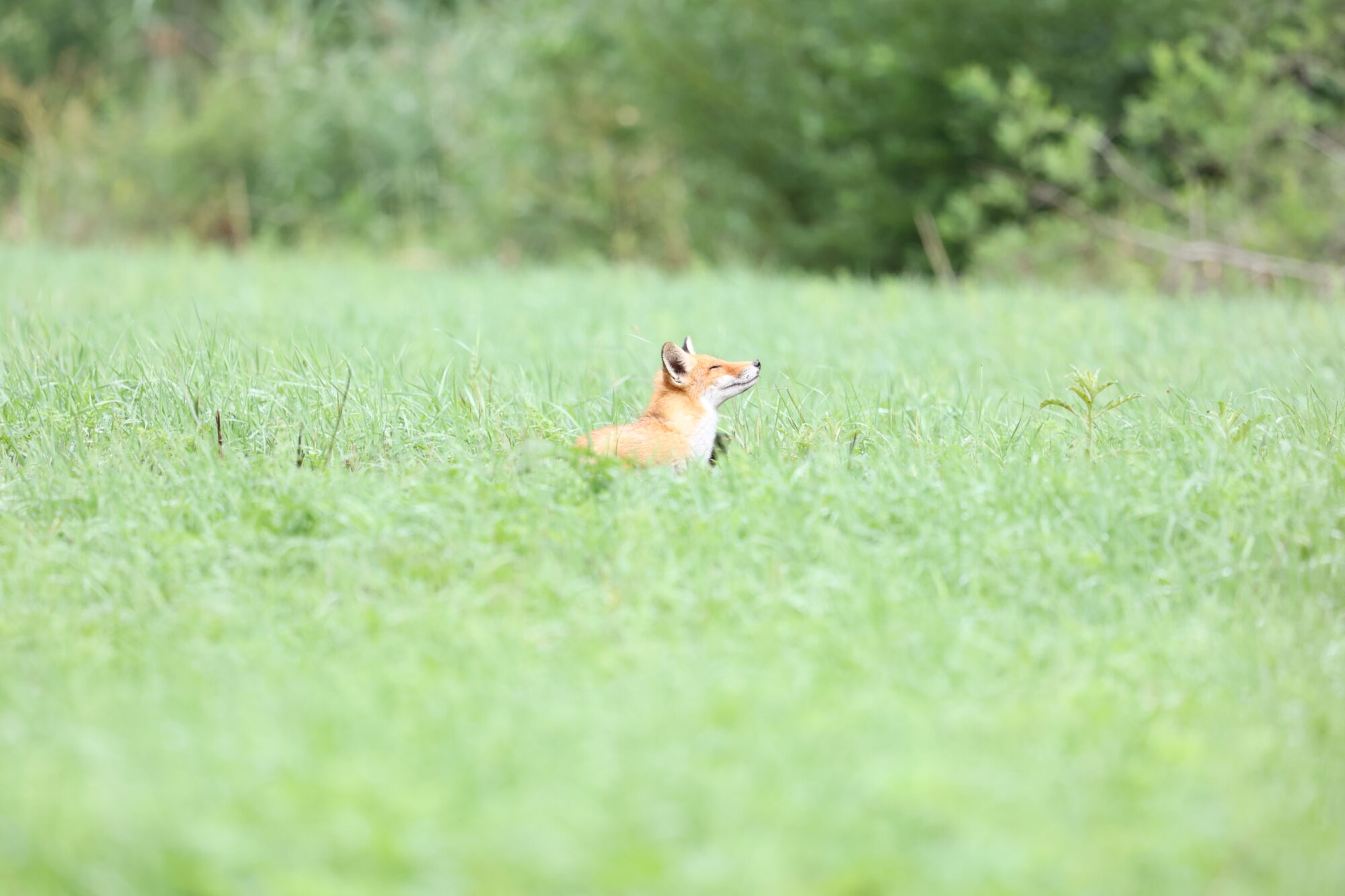 Valokuvaaja: Jukka Henriksson Valokuvaaja: Jukka Henriksson