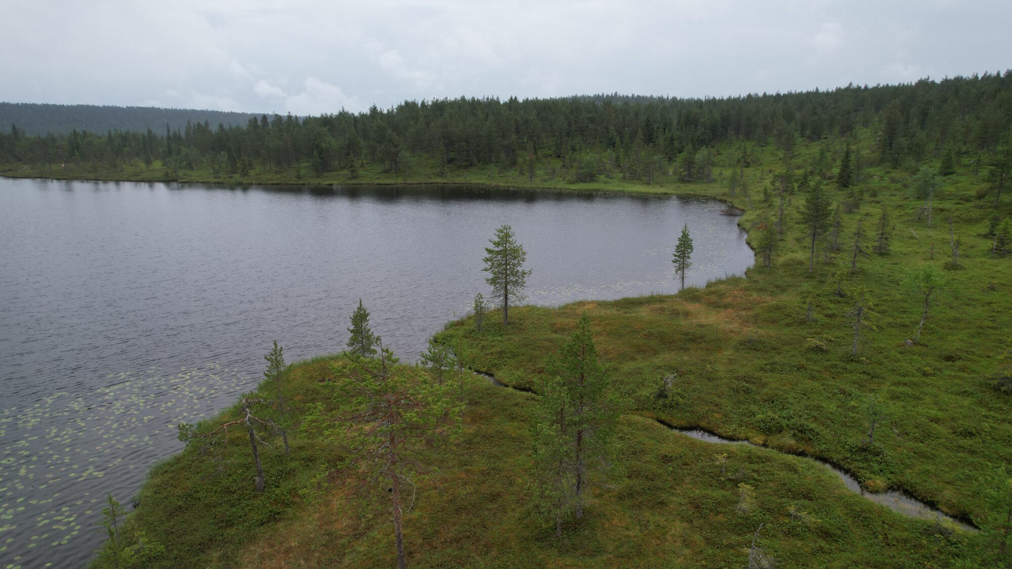 Valokuvaaja: Jaakko Lumme