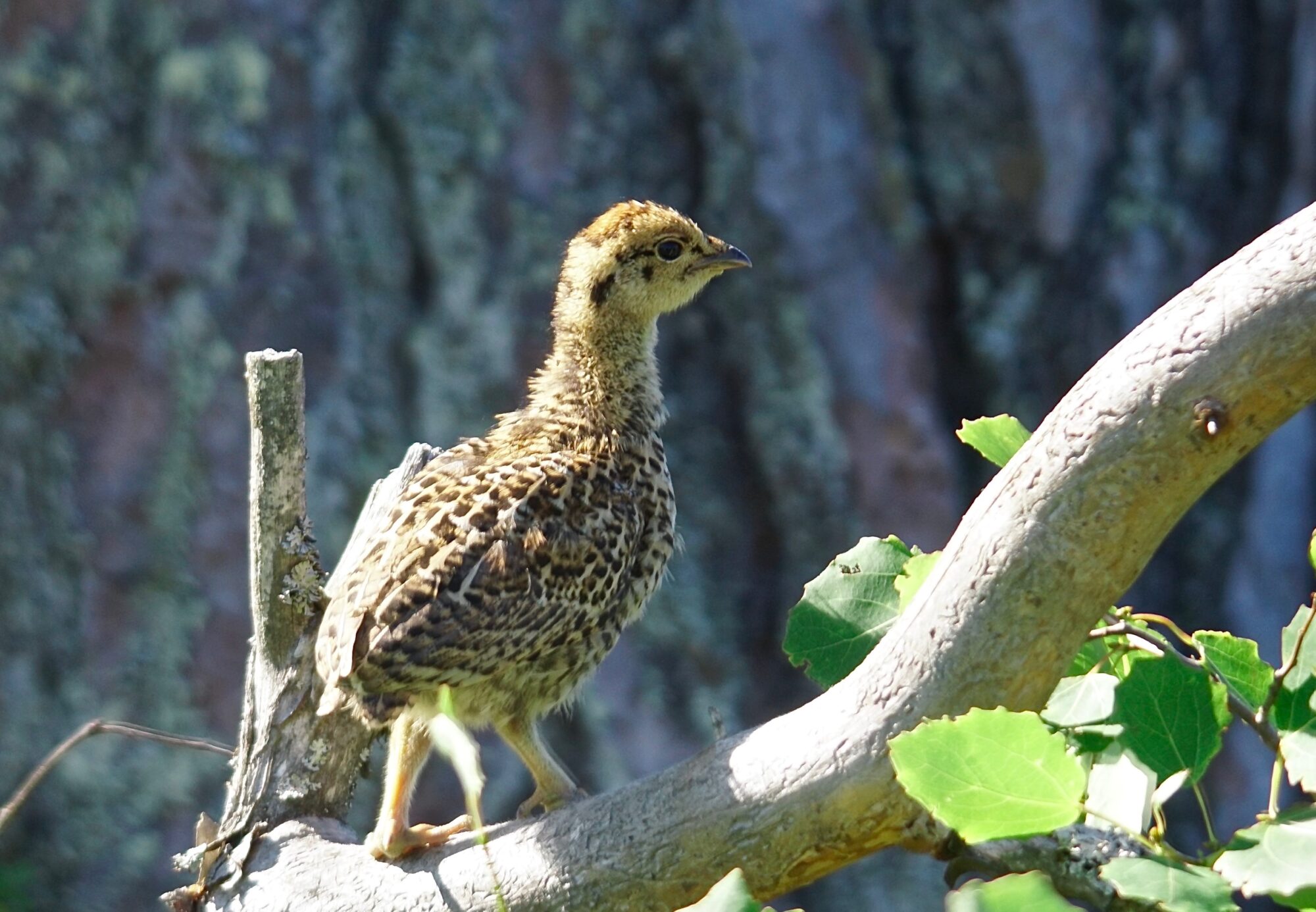 Valokuvaaja: Markku Ranta-Eilola