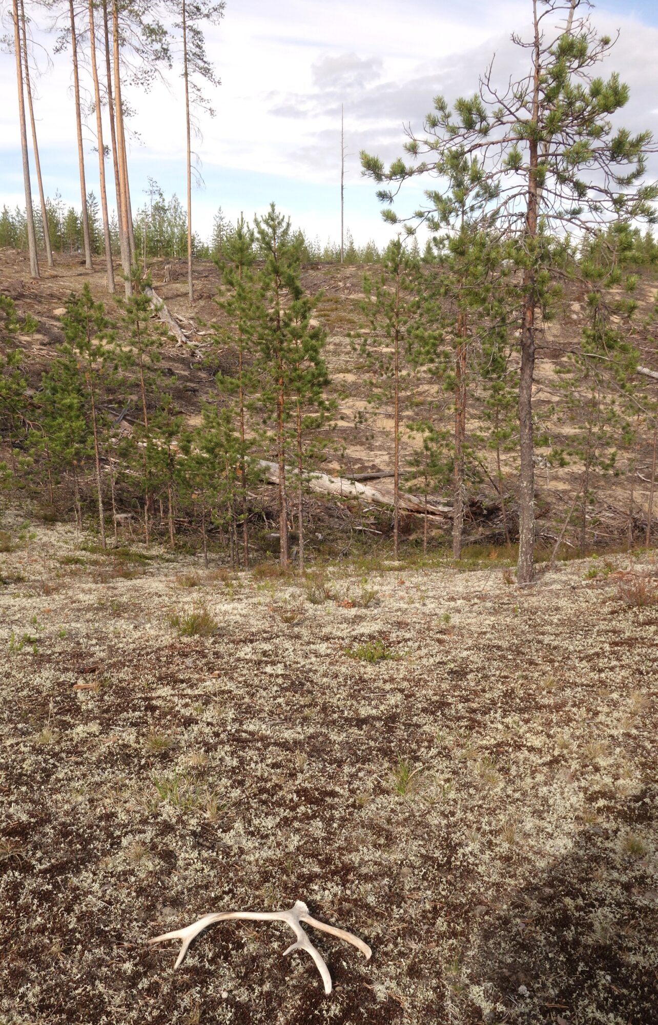 Valokuvaaja: Kaarina Heiskanen