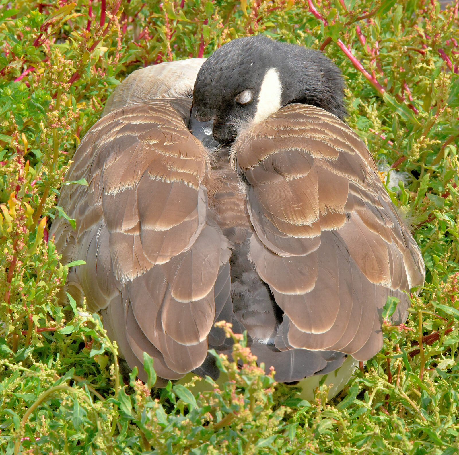 Valokuvaaja: Reijo Juurinen Valokuvaaja: Reijo Juurinen