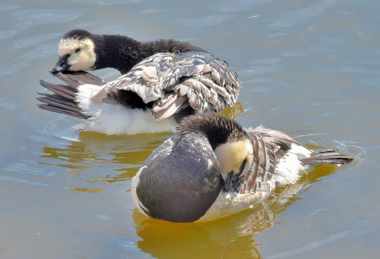 Valokuvaaja: Reijo Juurinen