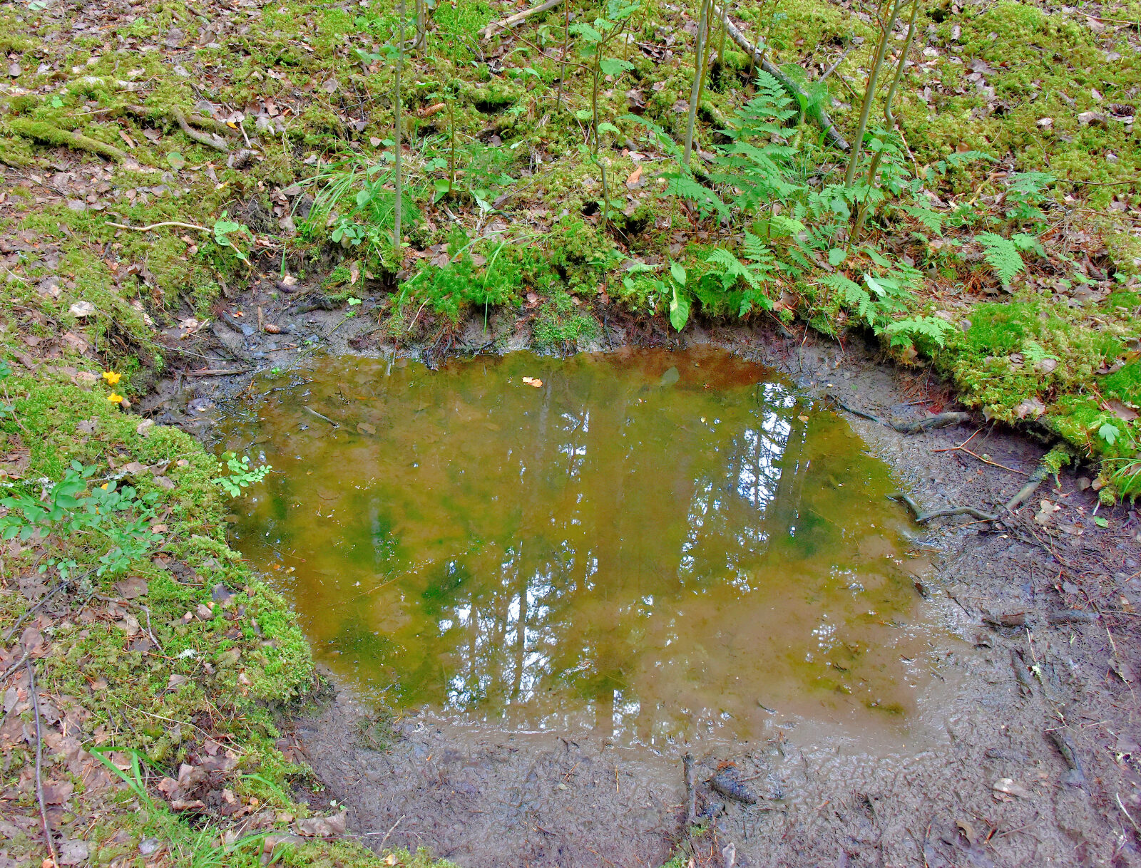 Valokuvaaja: Reijo Juurinen