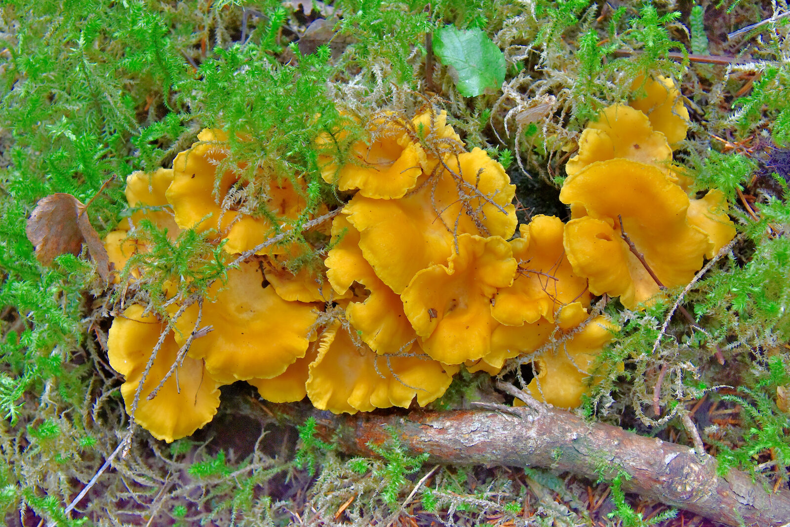 Valokuvaaja: Reijo Juurinen