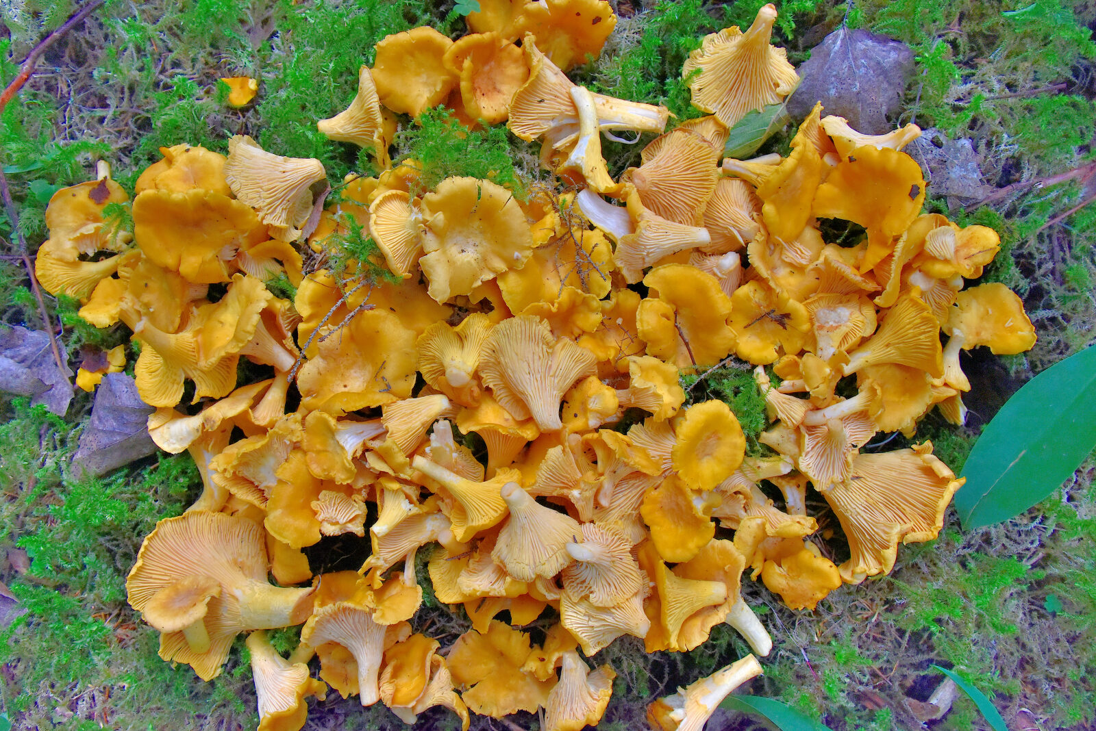 Valokuvaaja: Reijo Juurinen