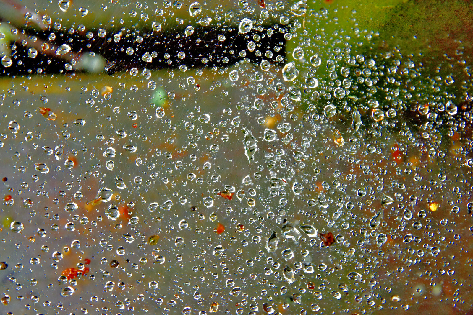 Valokuvaaja: Reijo Juurinen