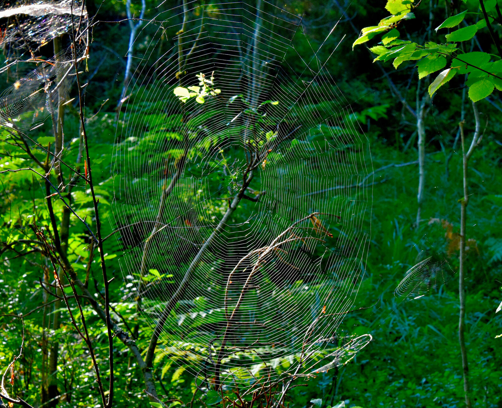 Valokuvaaja: Reijo Juurinen