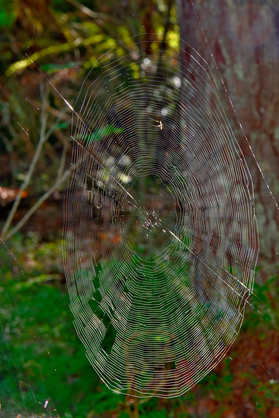 Valokuvaaja: Reijo Juurinen