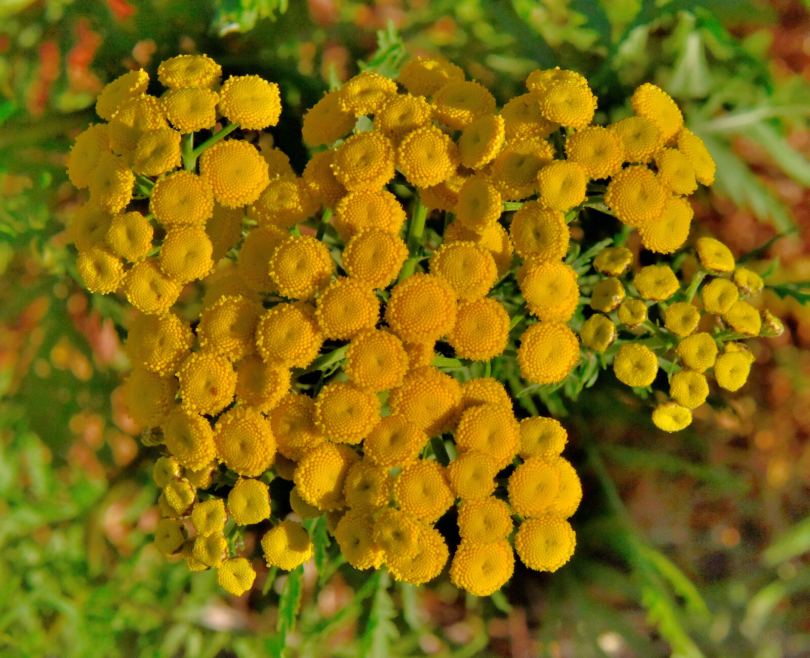 Valokuvaaja: Reijo Juurinen