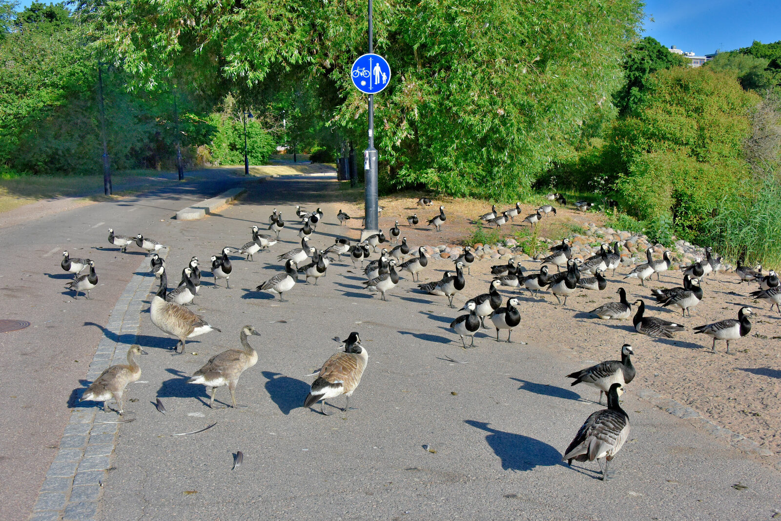 Valokuvaaja: Reijo Juurinen Valokuvaaja: Reijo Juurinen