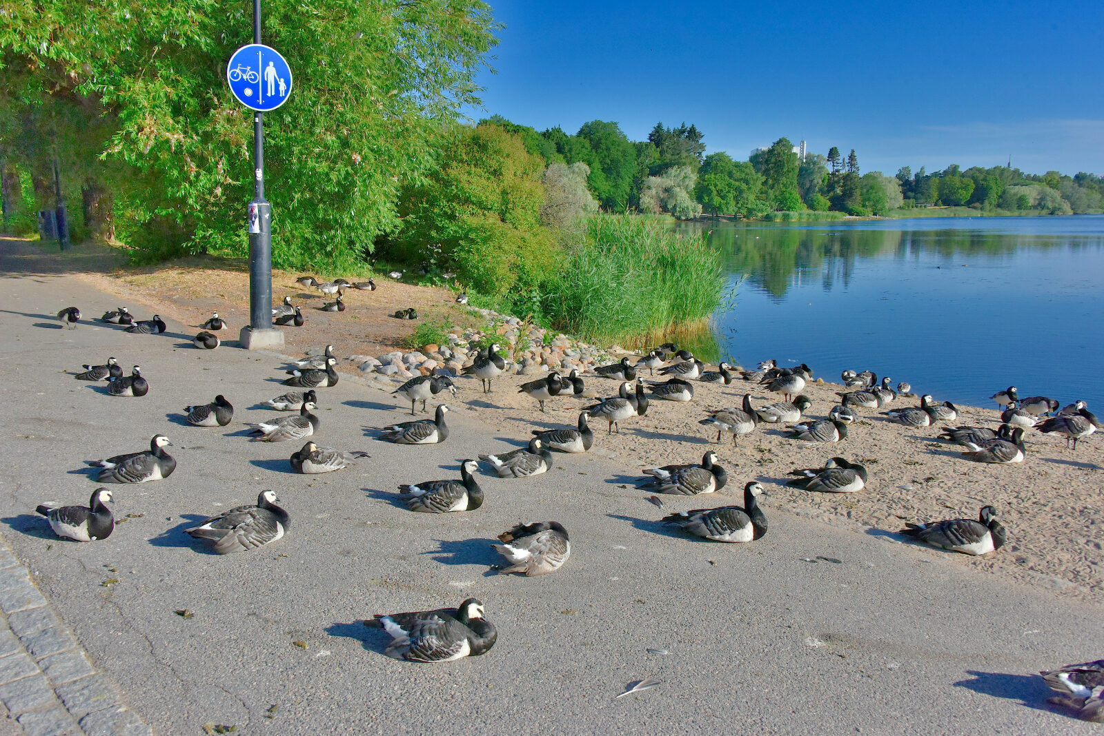 Valokuvaaja: Reijo Juurinen