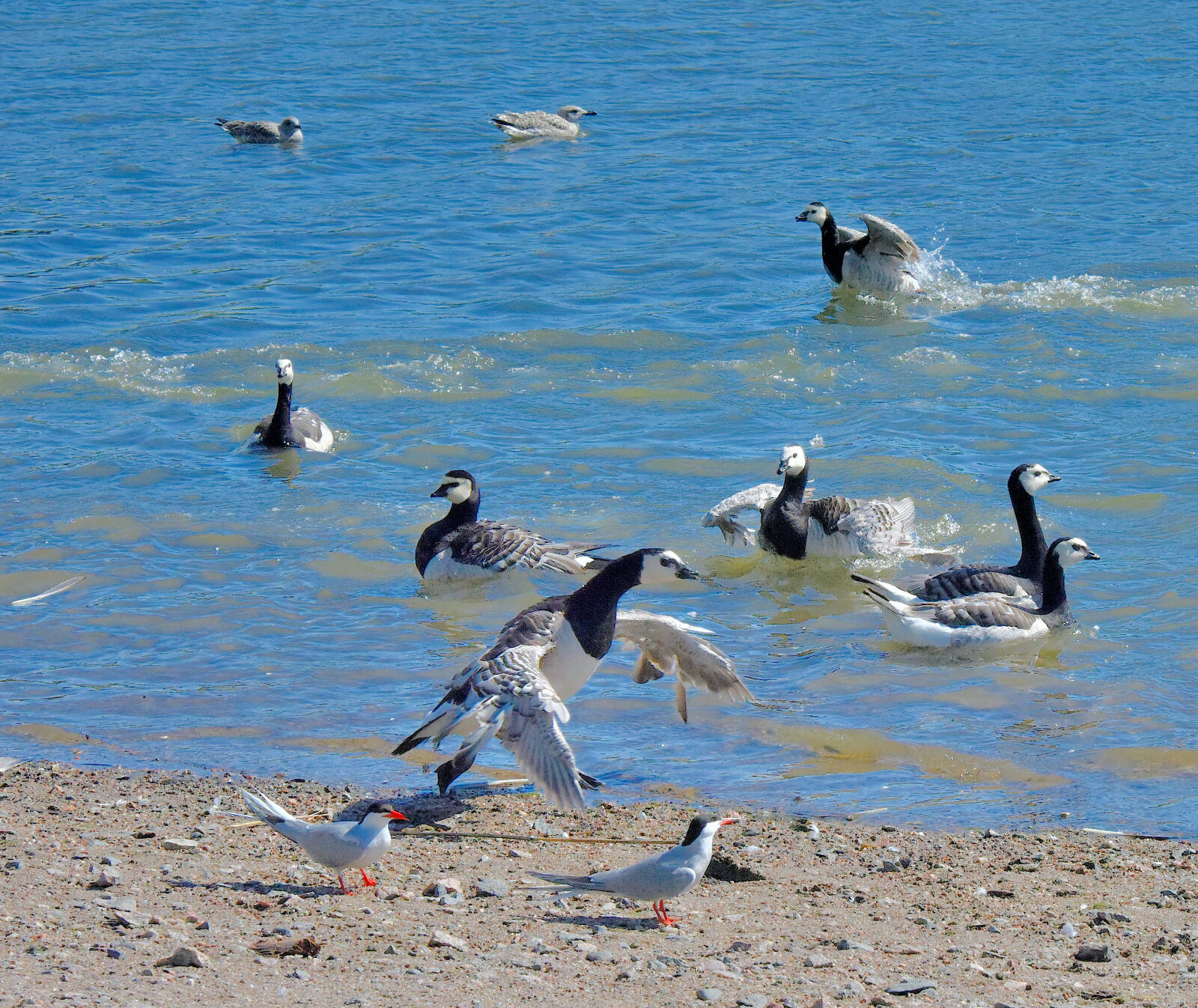 Valokuvaaja: Reijo Juurinen