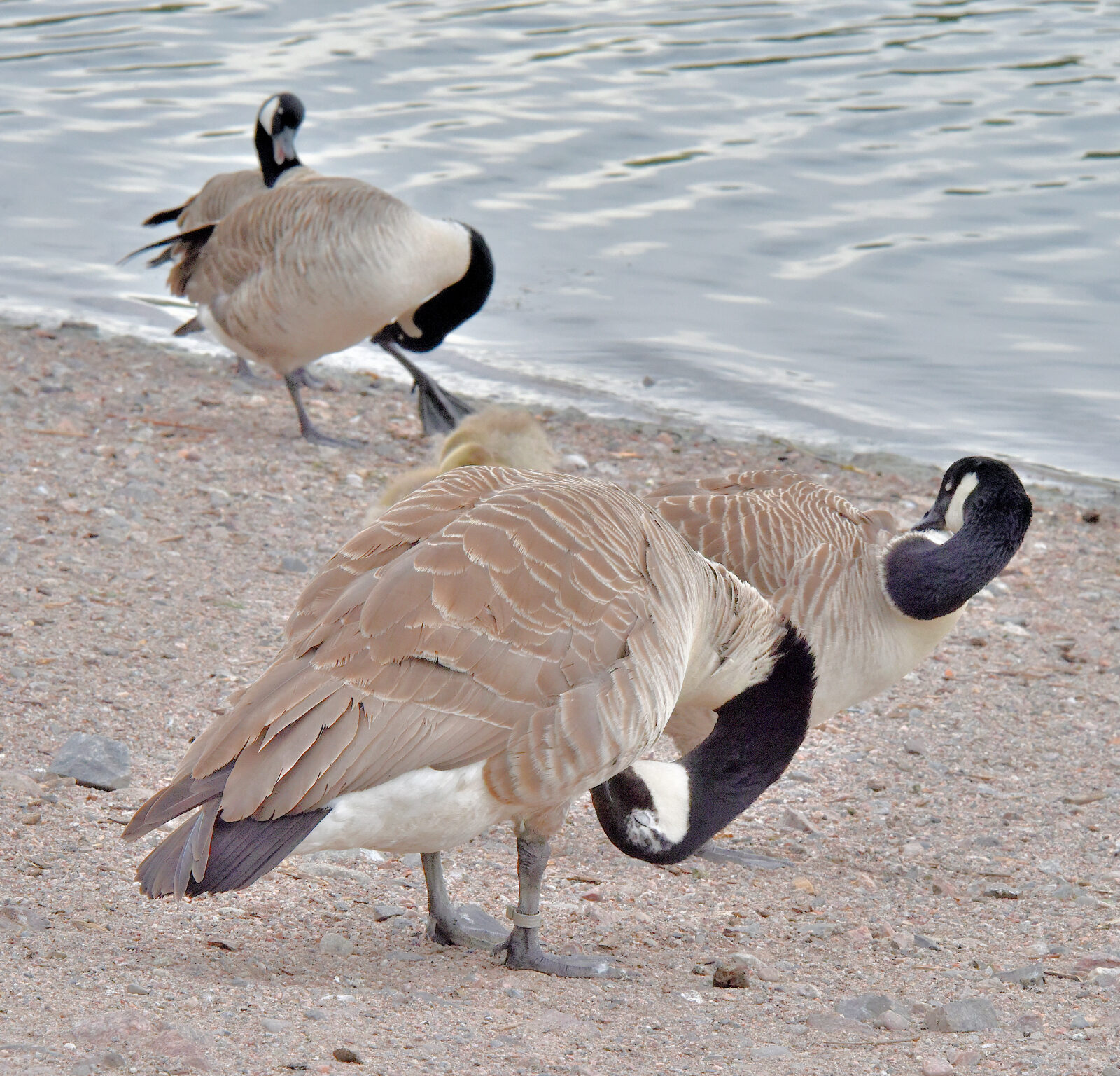 Valokuvaaja: Reijo Juurinen