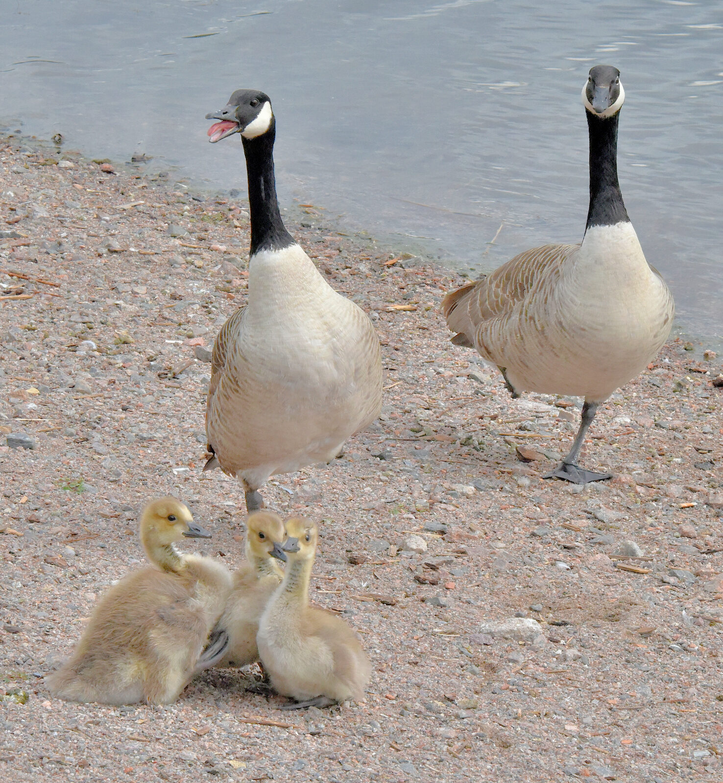 Valokuvaaja: Reijo Juurinen