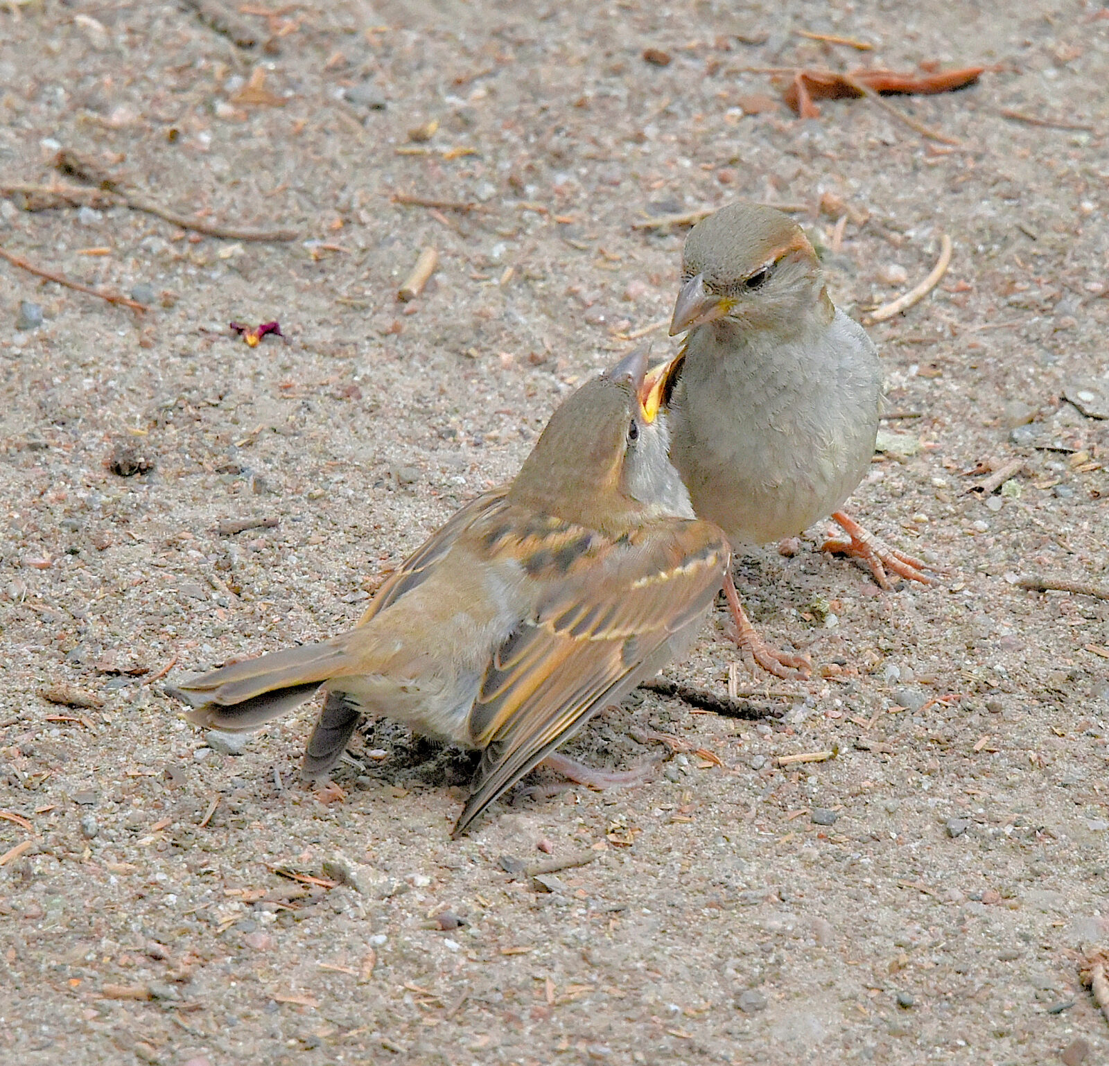 Valokuvaaja: Reijo Juurinen