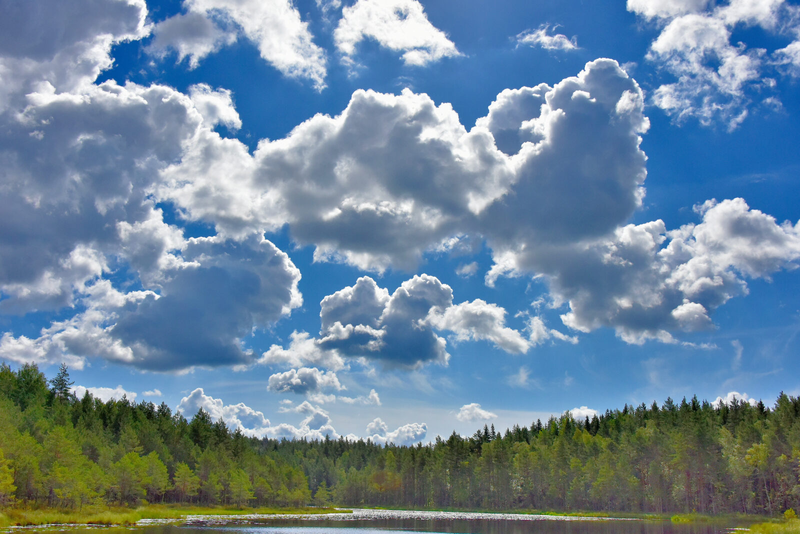 Valokuvaaja: Reijo Juurinen