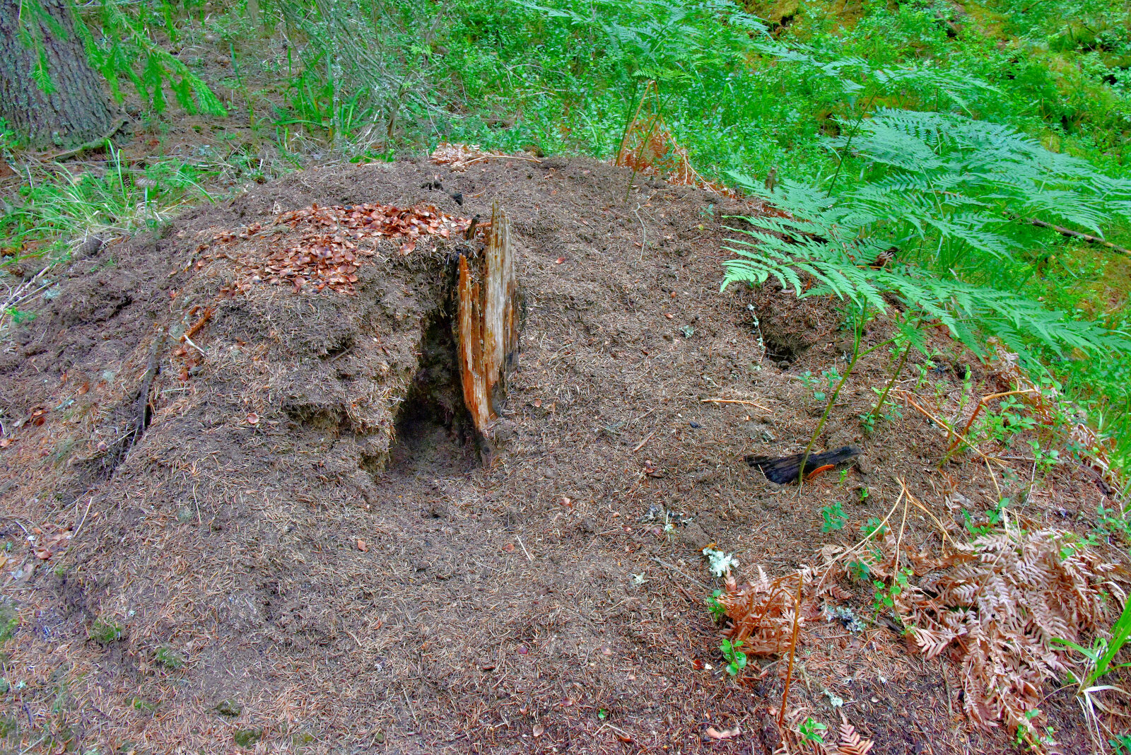 Valokuvaaja: Reijo Juurinen