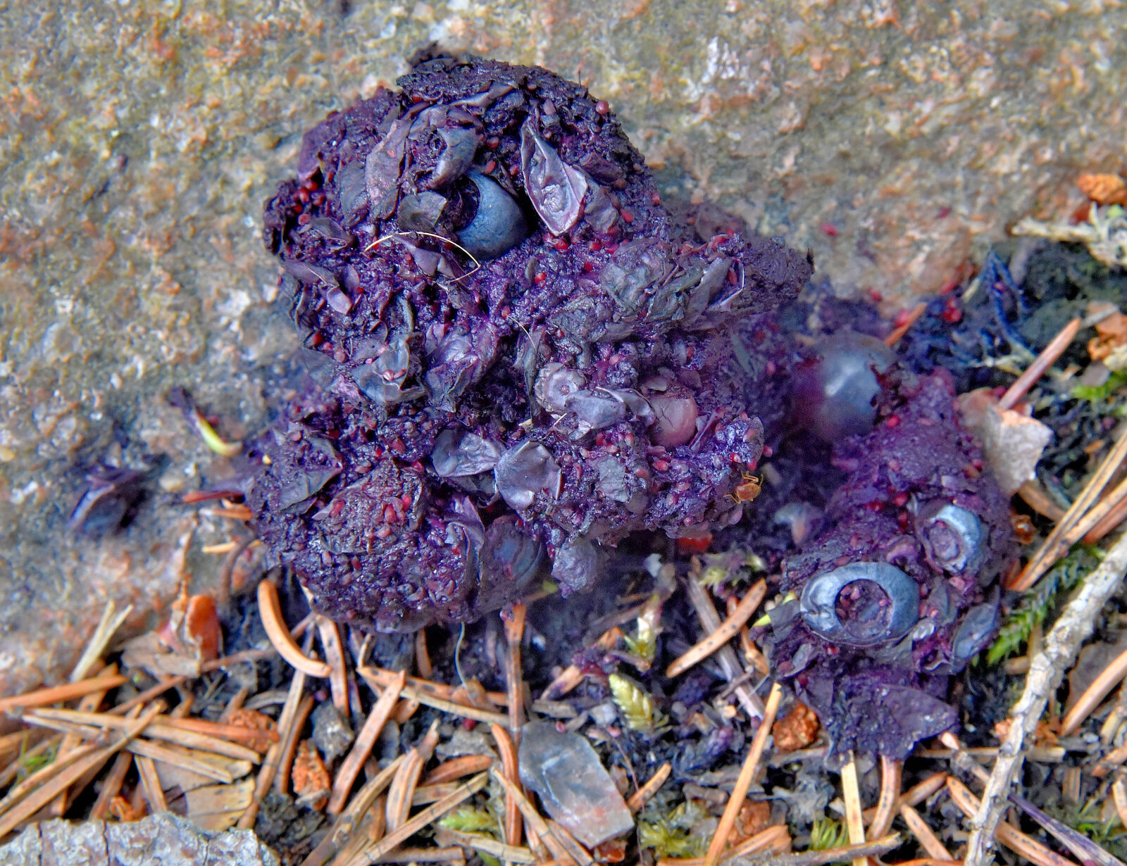 Valokuvaaja: Reijo Juurinen