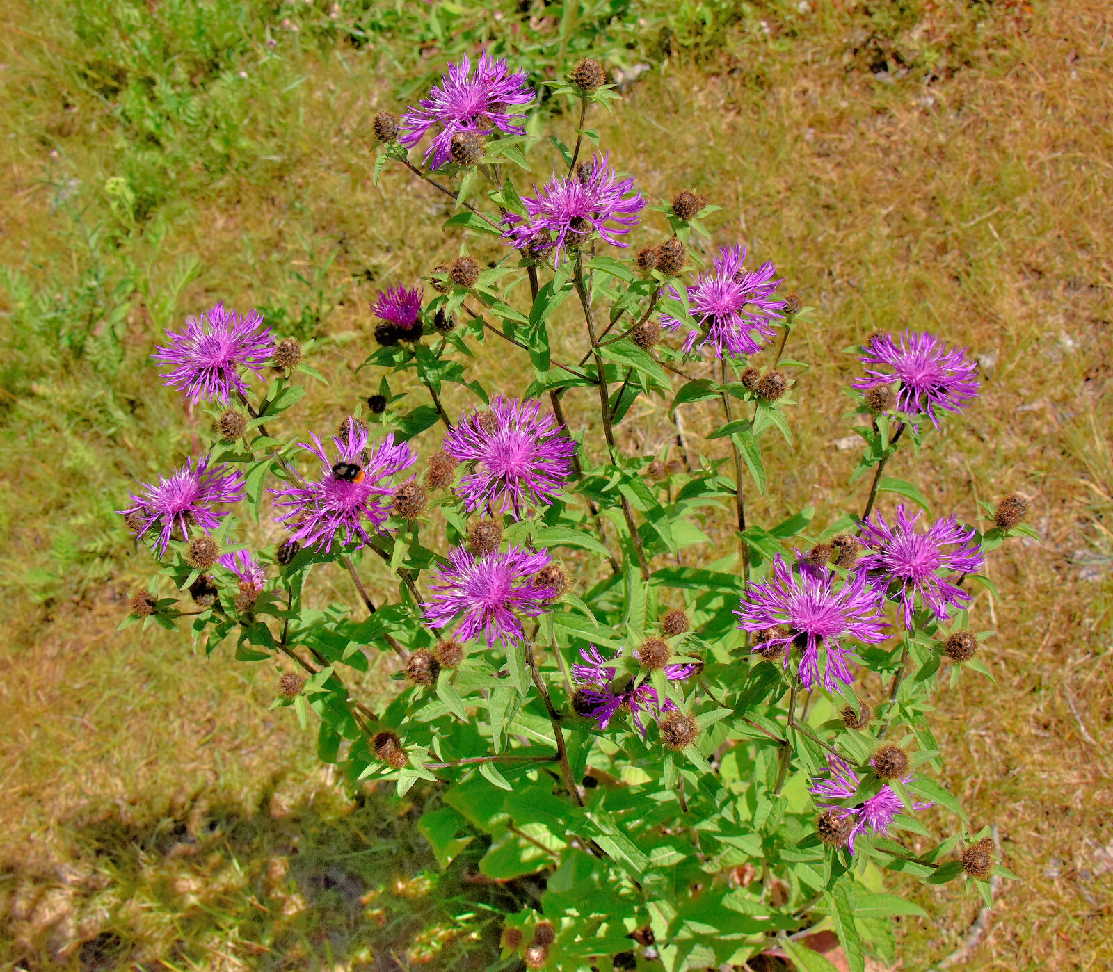 Valokuvaaja: Reijo Juurinen