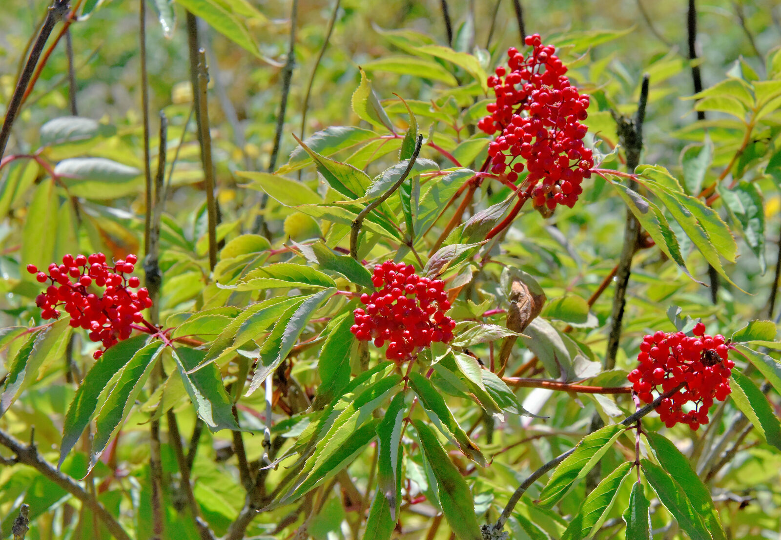 Valokuvaaja: Reijo Juurinen