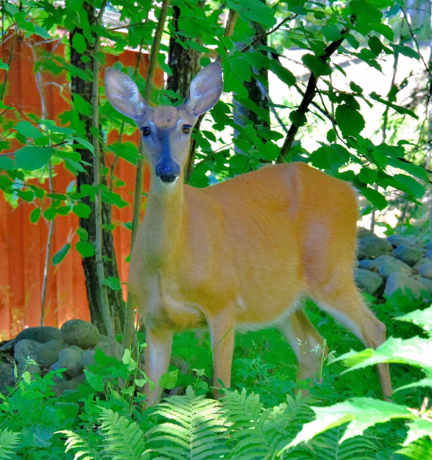 Valokuvaaja: Reijo Juurinen