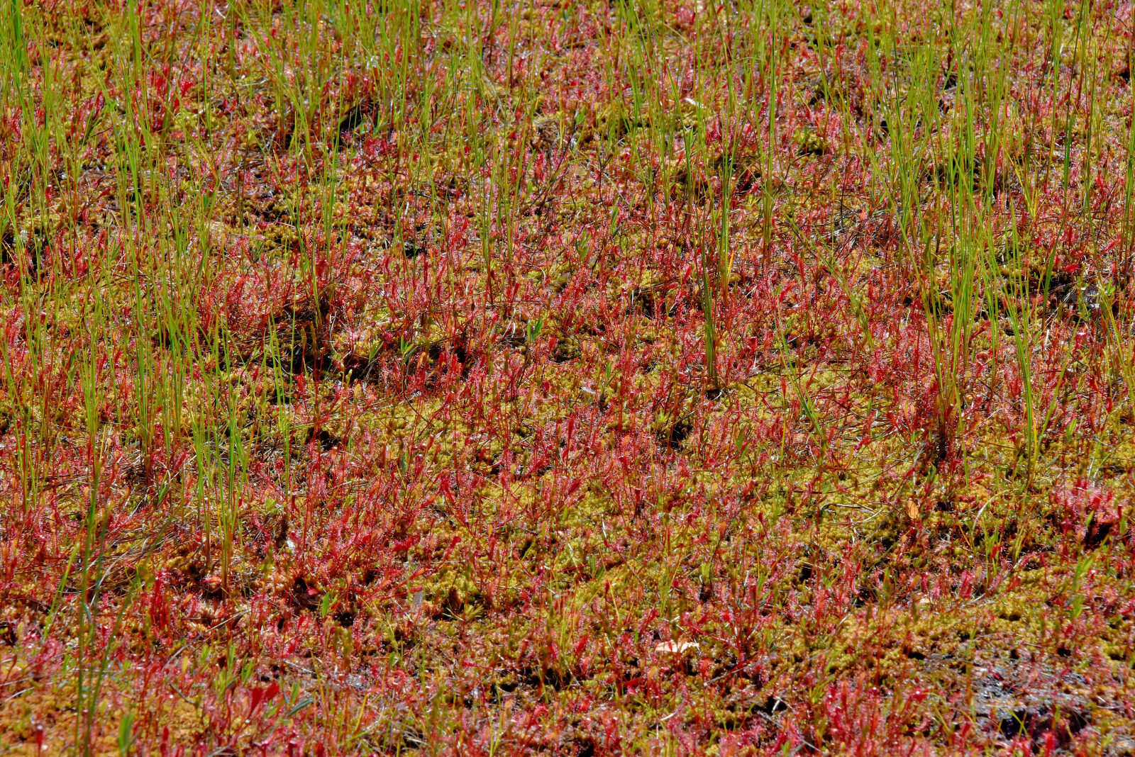 Valokuvaaja: Reijo Juurinen Valokuvaaja: Reijo Juurinen