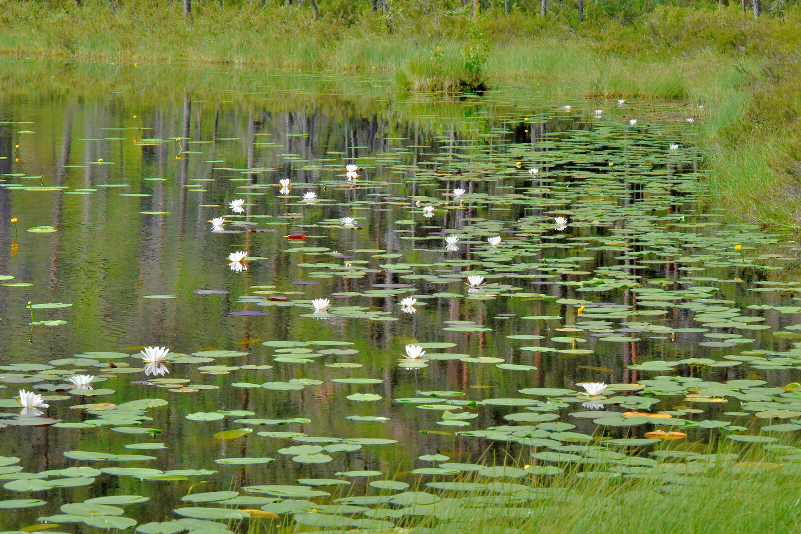 Valokuvaaja: Reijo Juurinen