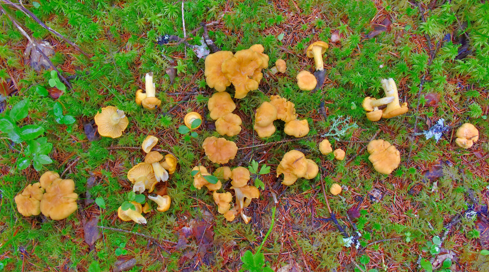 Valokuvaaja: Reijo Juurinen