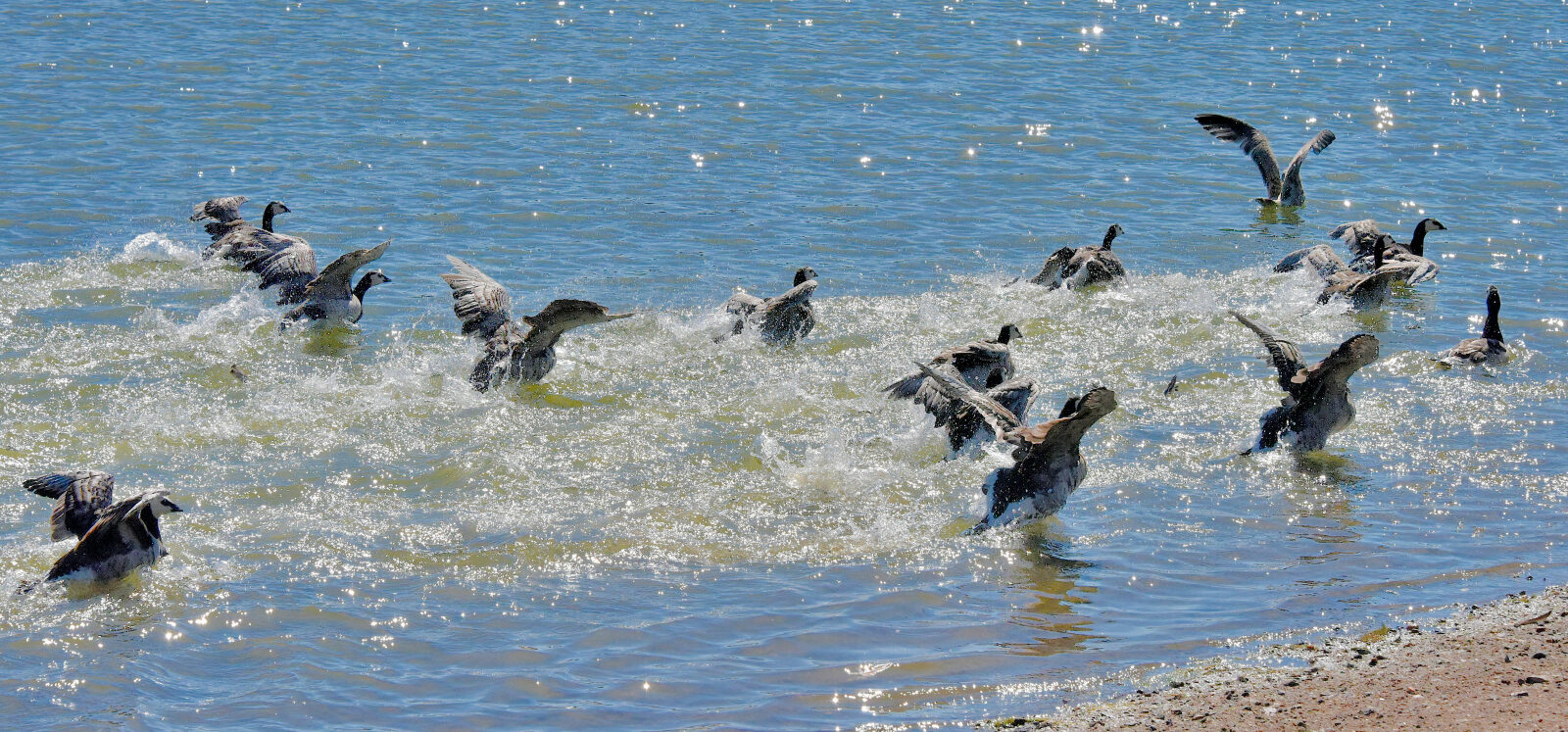 Valokuvaaja: Reijo Juurinen Valokuvaaja: Reijo Juurinen