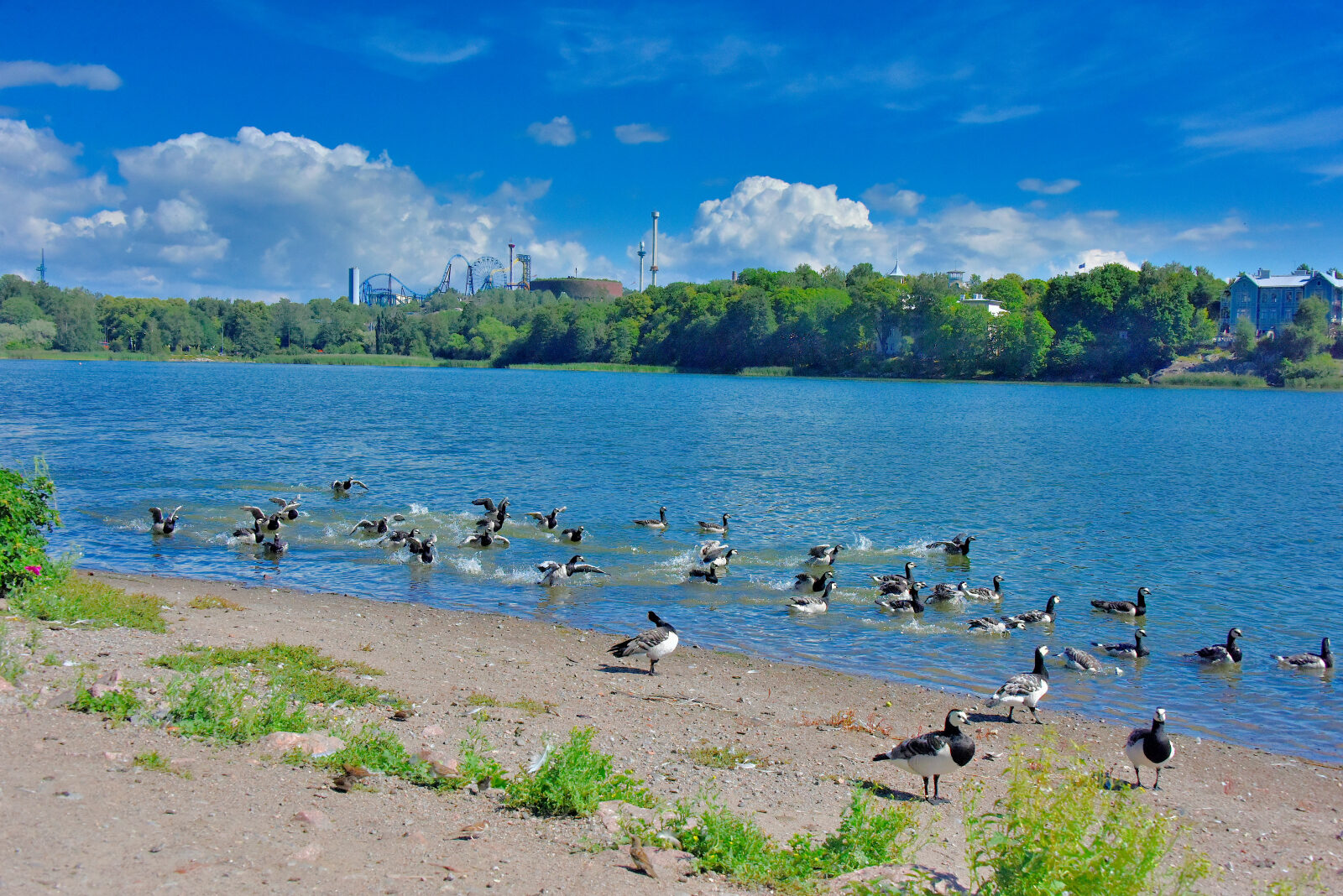Valokuvaaja: Reijo Juurinen