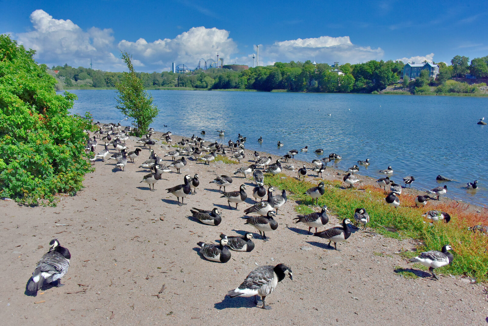 Valokuvaaja: Reijo Juurinen