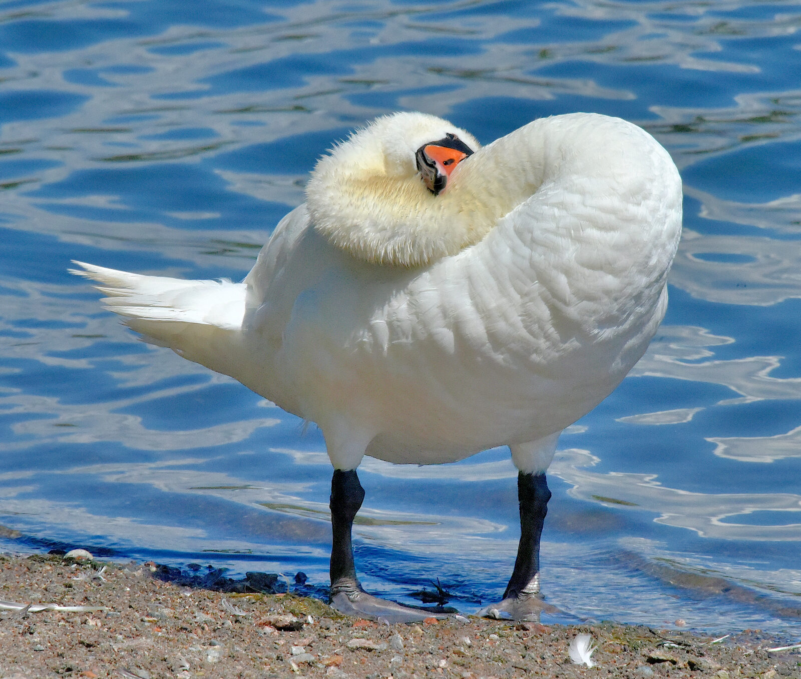 Valokuvaaja: Reijo Juurinen