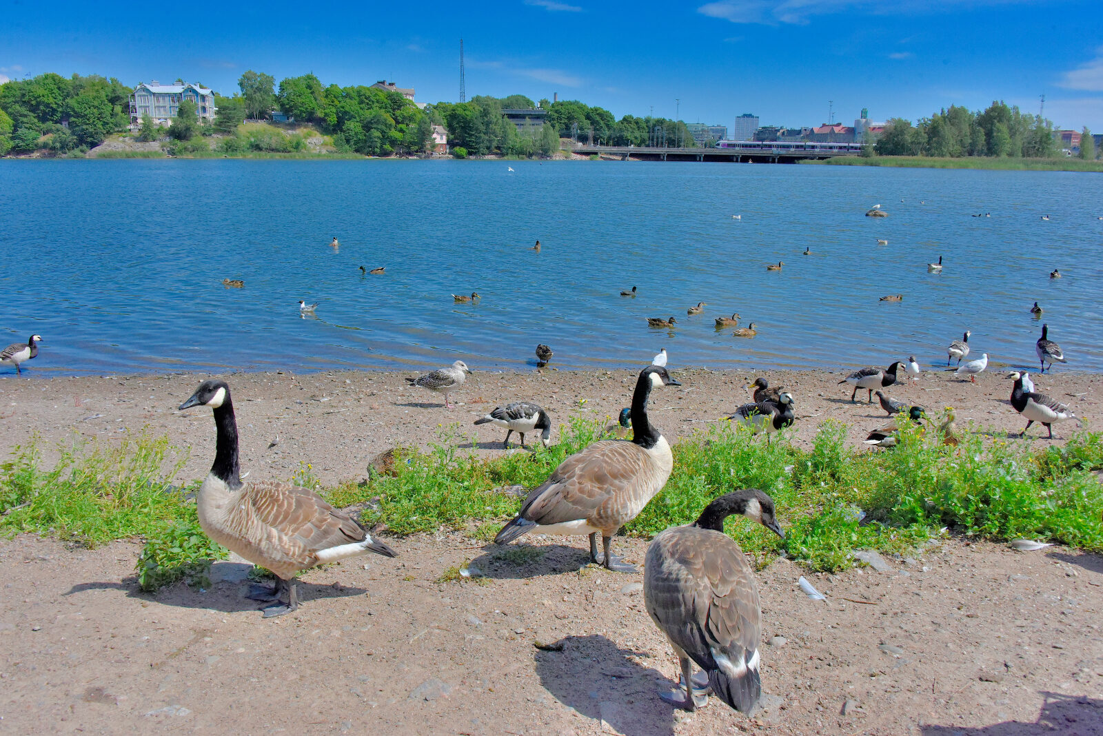 Valokuvaaja: Reijo Juurinen