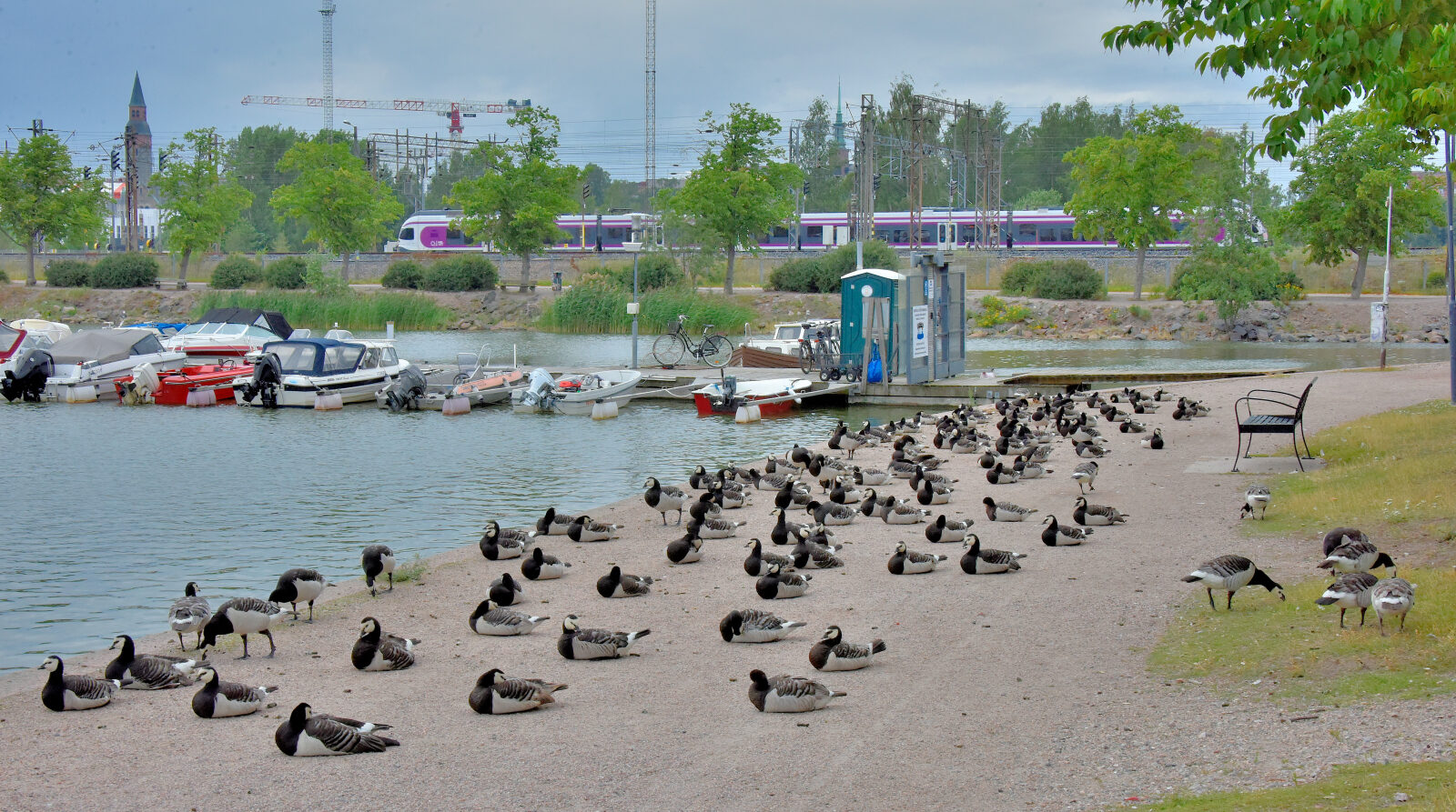 Valokuvaaja: Reijo Juurinen