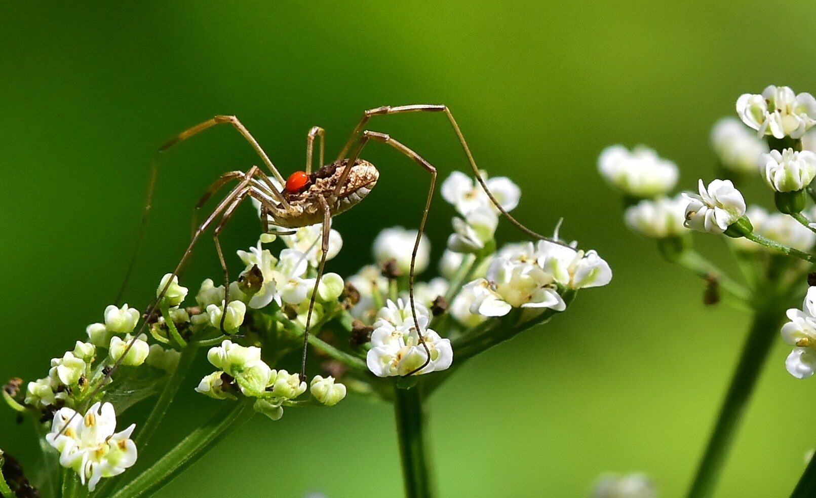 Valokuvaaja: Markku Pelkonen