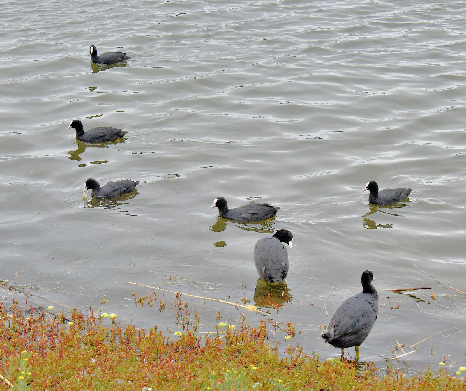 Valokuvaaja: Reijo Juurinen