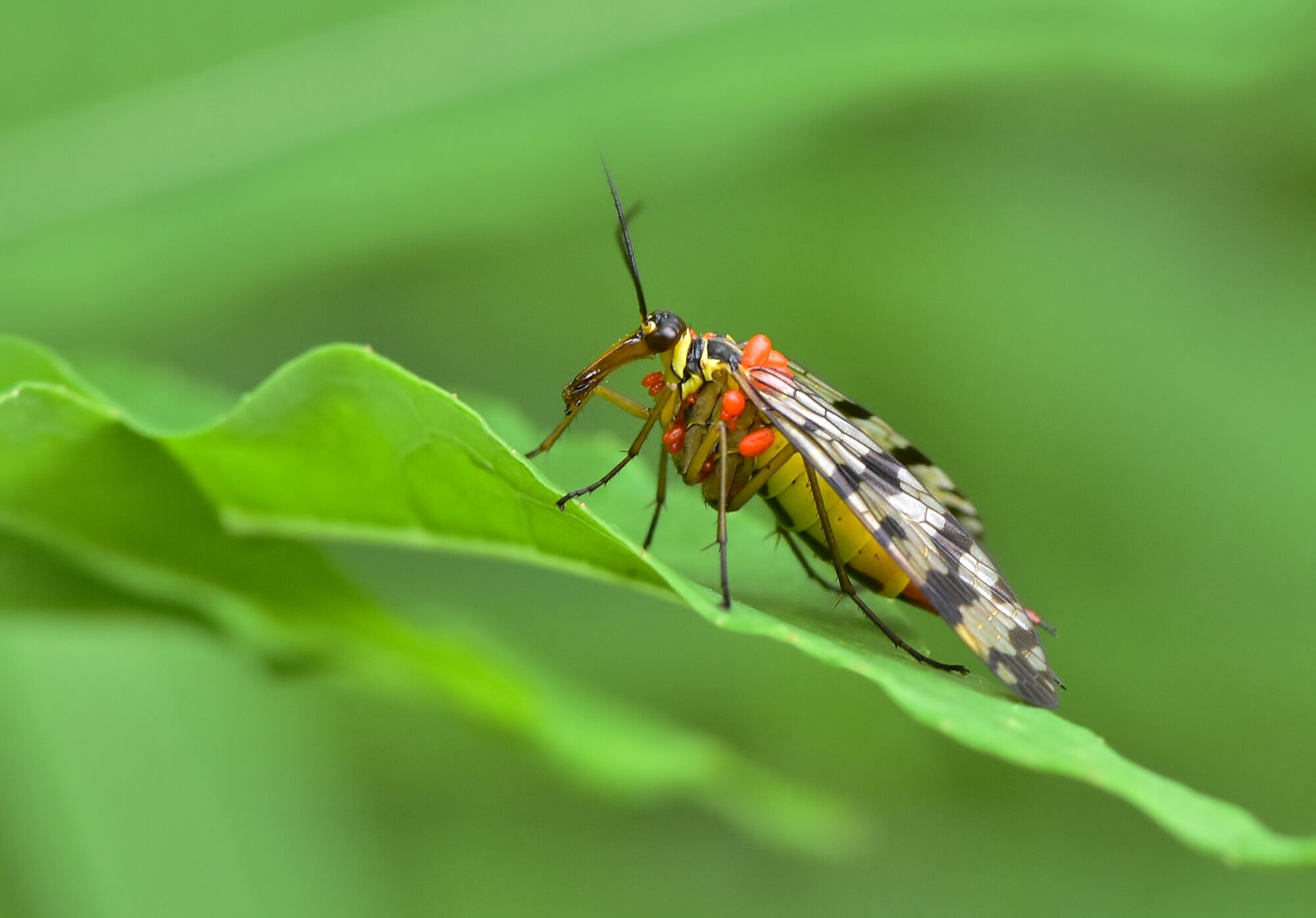Valokuvaaja: Markku Pelkonen Valokuvaaja: Markku Pelkonen