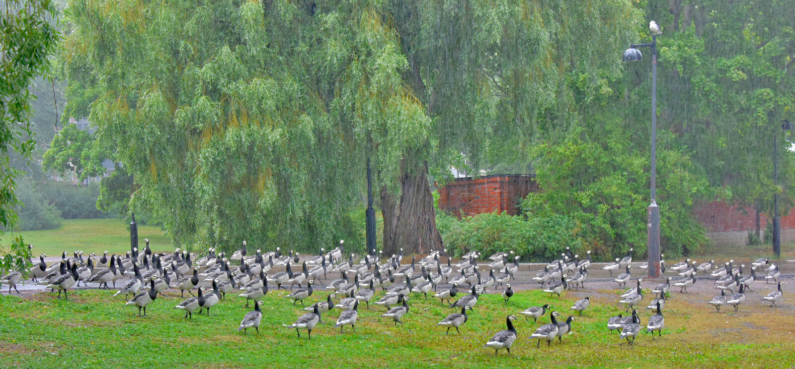 Valokuvaaja: Reijo Juurinen