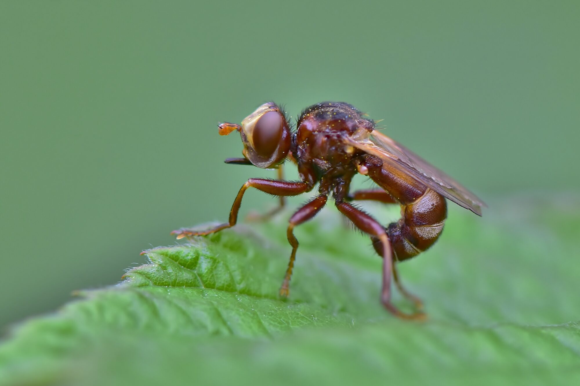 Valokuvaaja: Markku Pelkonen