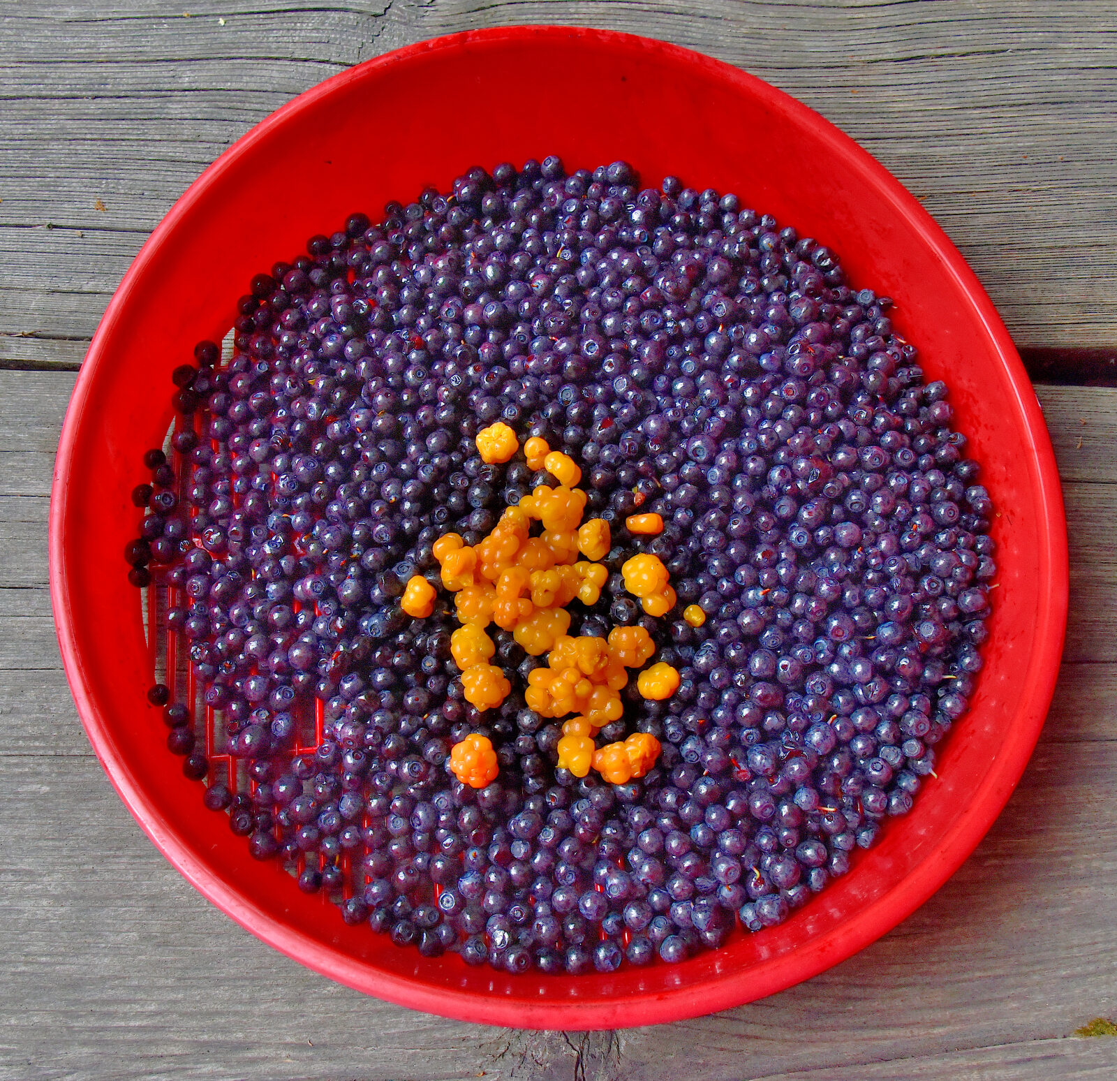 Valokuvaaja: Reijo Juurinen Valokuvaaja: Reijo Juurinen