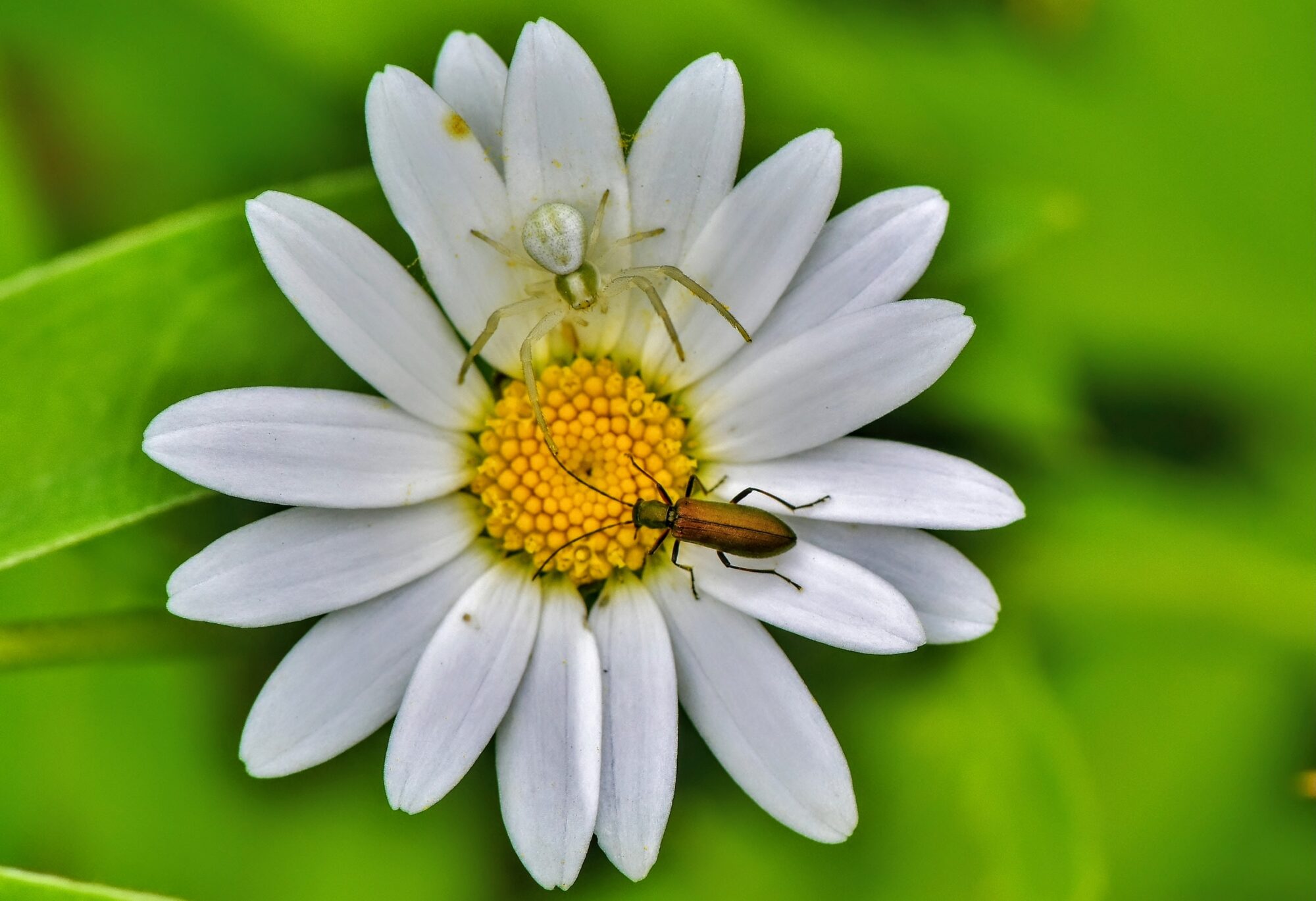 Valokuvaaja: Markku Pelkonen