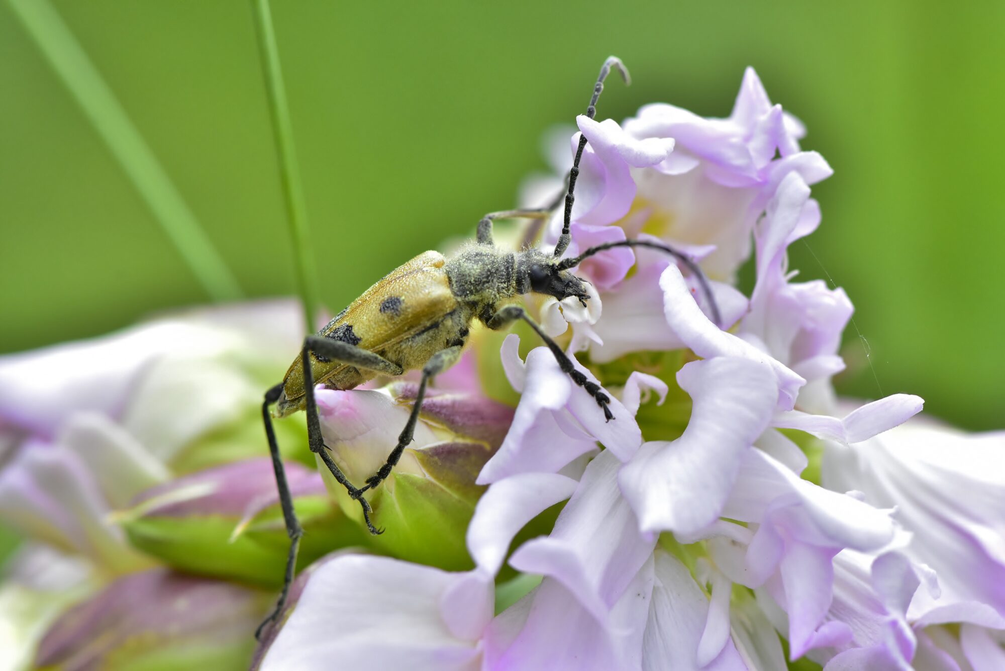 Valokuvaaja: Markku Pelkonen