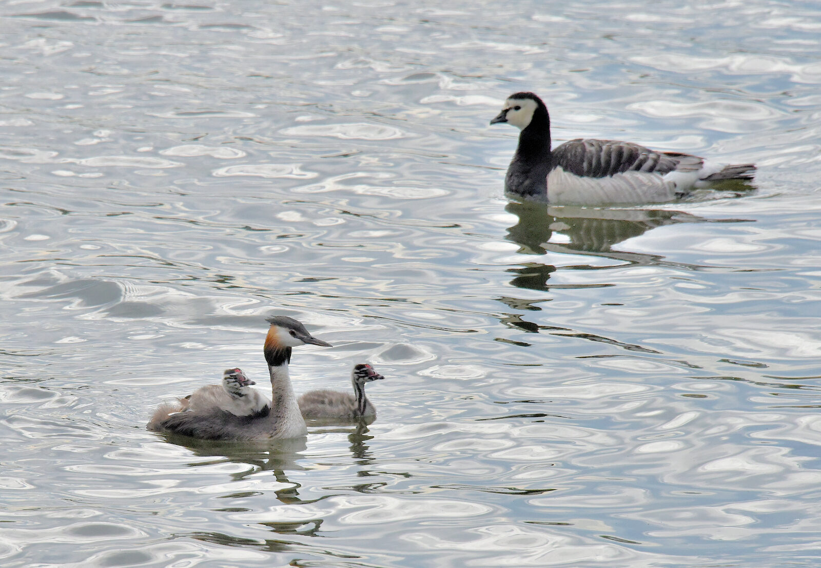 Valokuvaaja: Reijo Juurinen